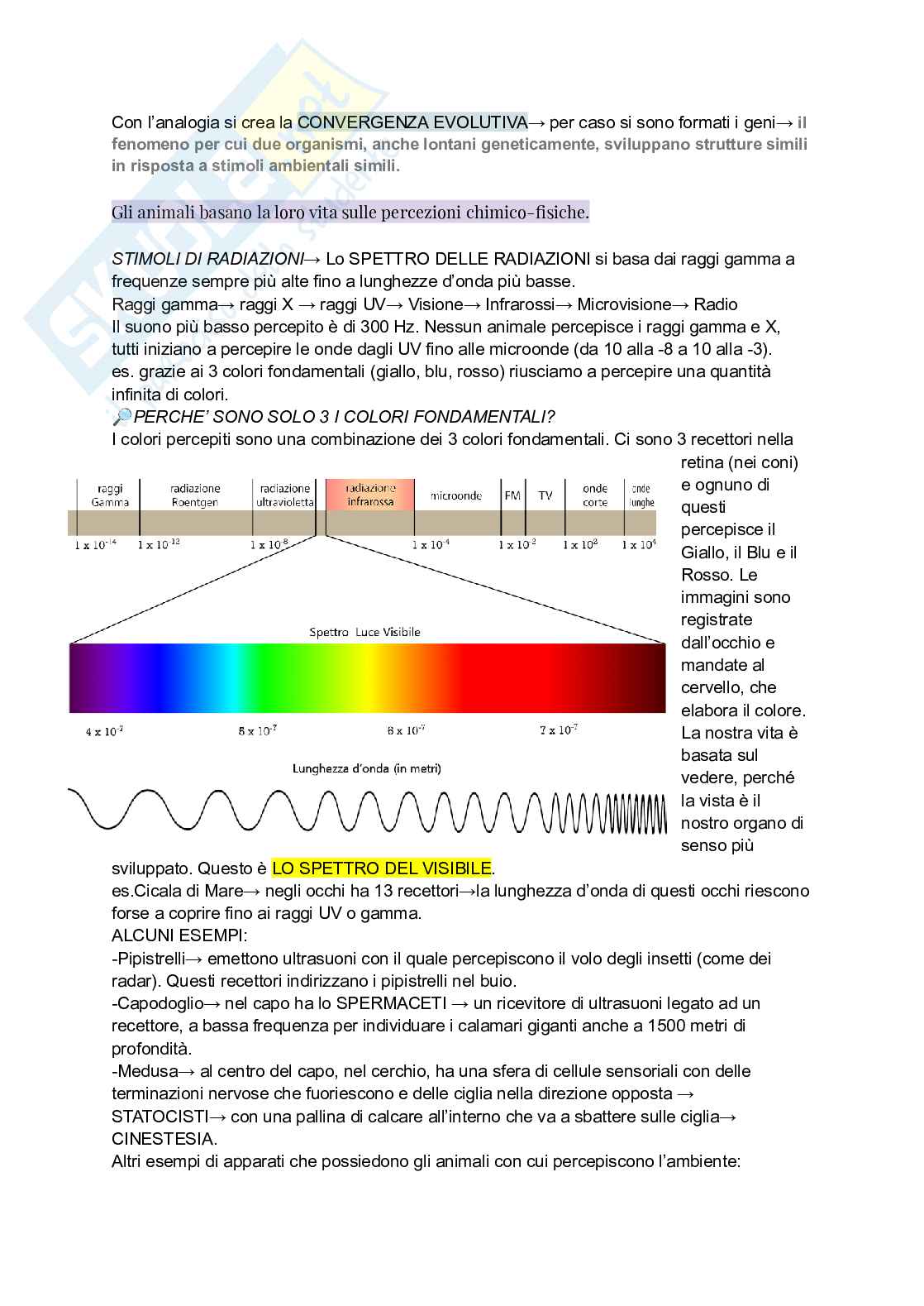 Appunti di Zoologia Pag. 21