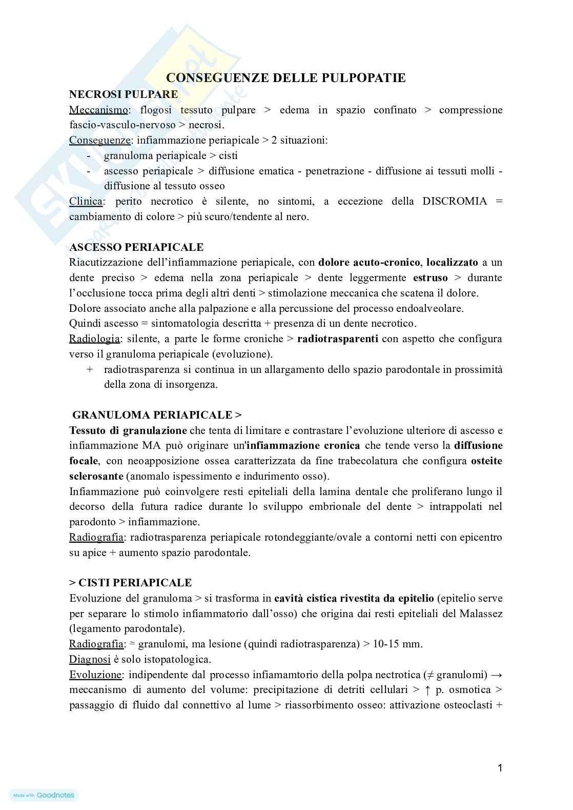 Organi di senso - Schemi odontostomatologia Pag. 31