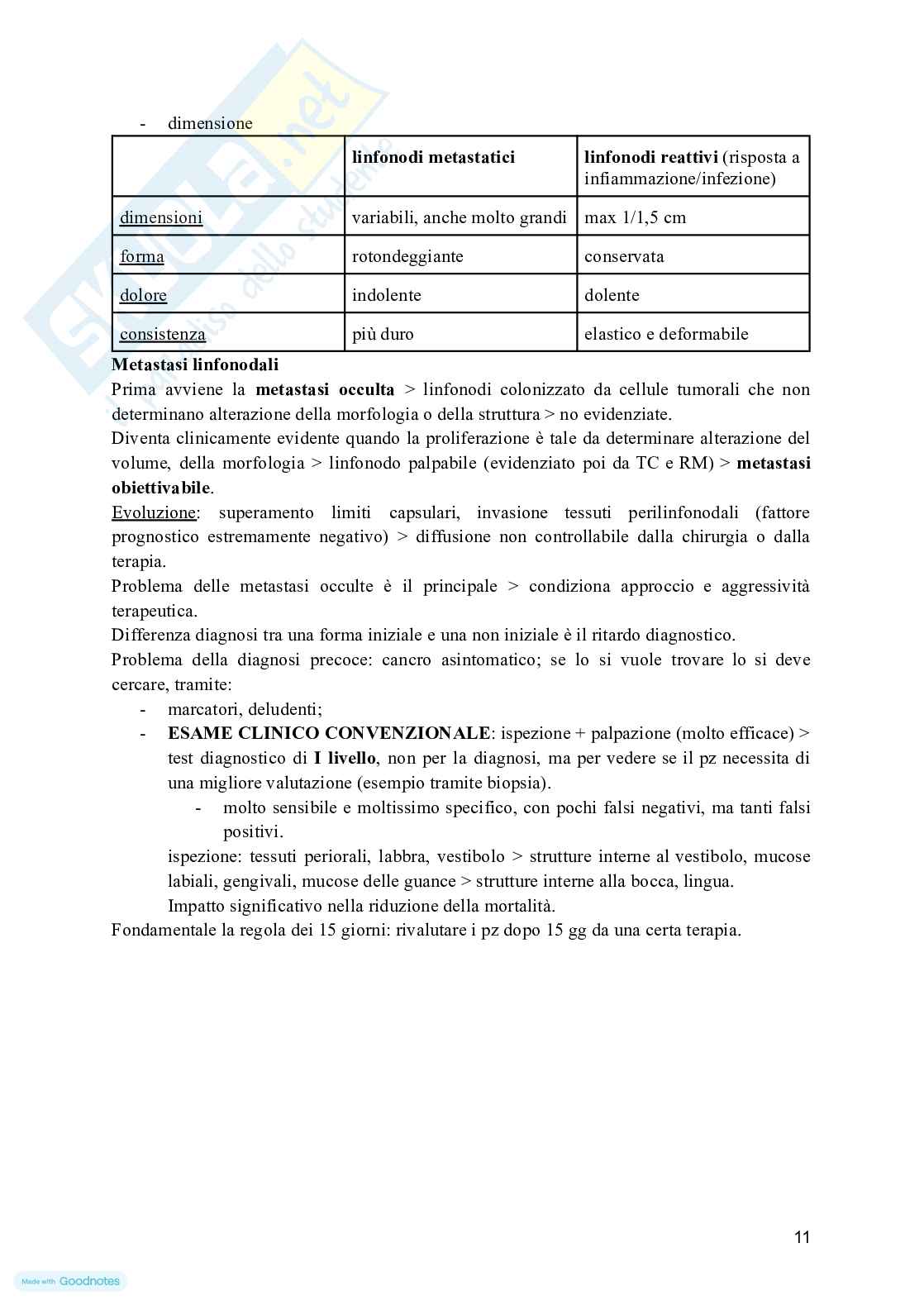Organi di senso - Schemi odontostomatologia Pag. 41