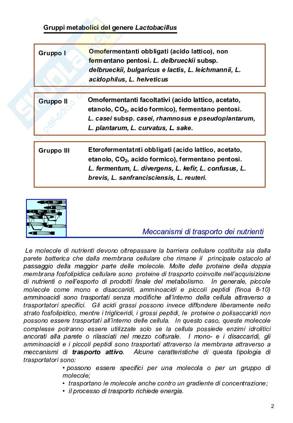 Trasporto Pag. 2