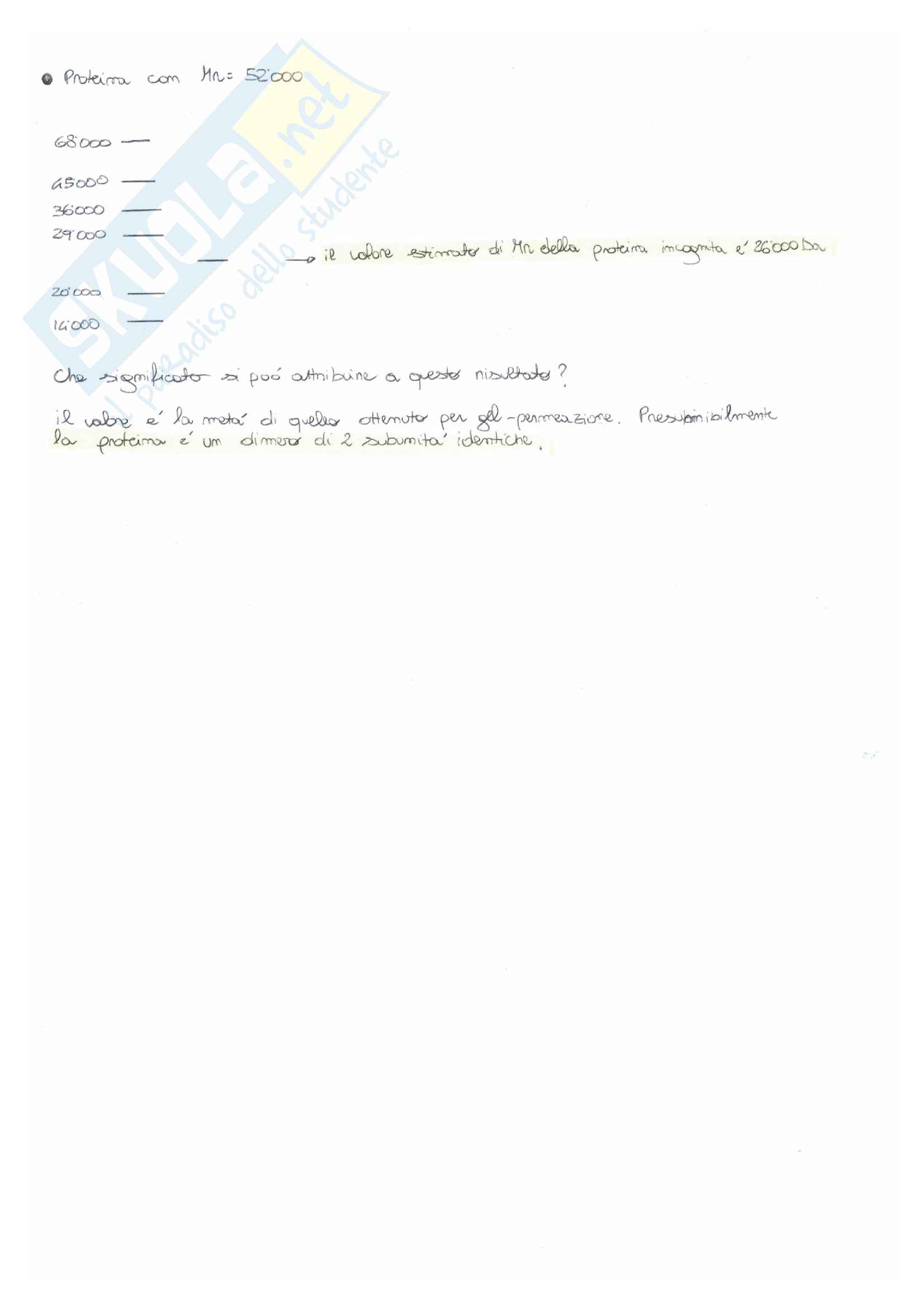 Bioingegneria chimica: esercitazioni e temi d'esame Pag. 71