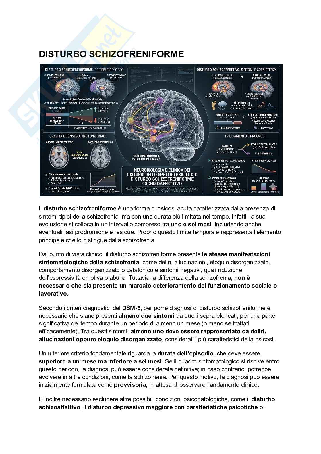 Schizofrenia  Pag. 1