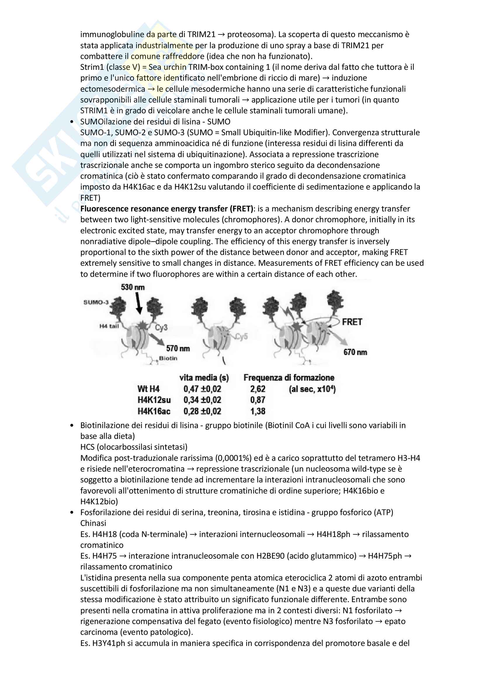 Appunti di Biologia Molecolare Avanzata Pag. 16