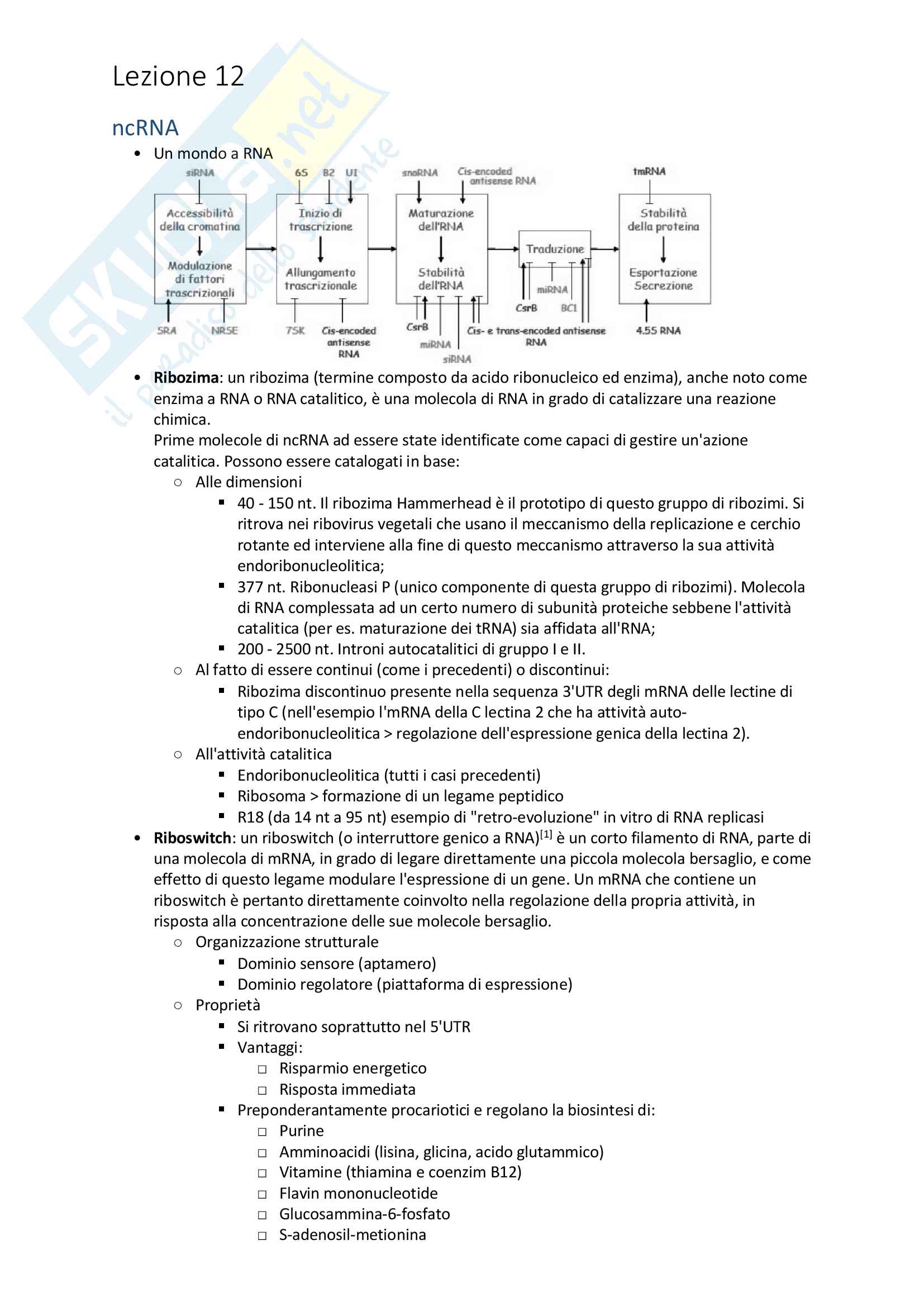 Appunti di Biologia Molecolare Avanzata Pag. 36