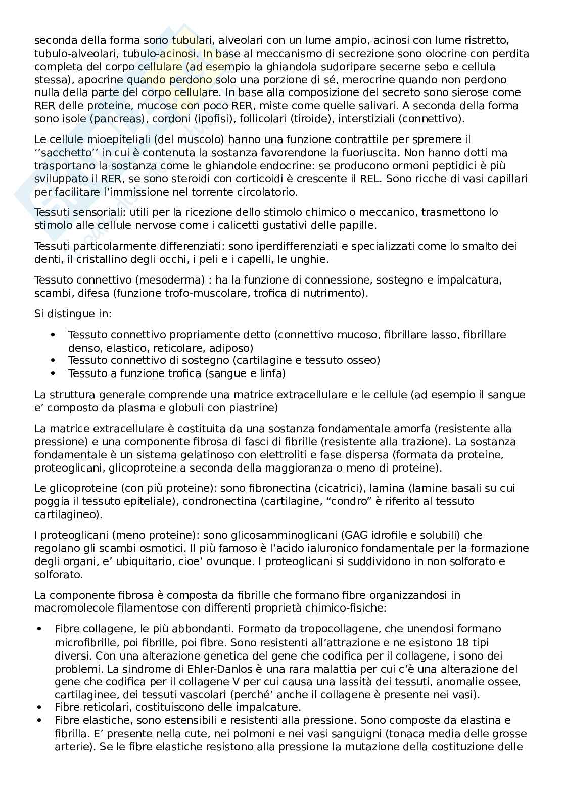 Apparato vascolare Pag. 2