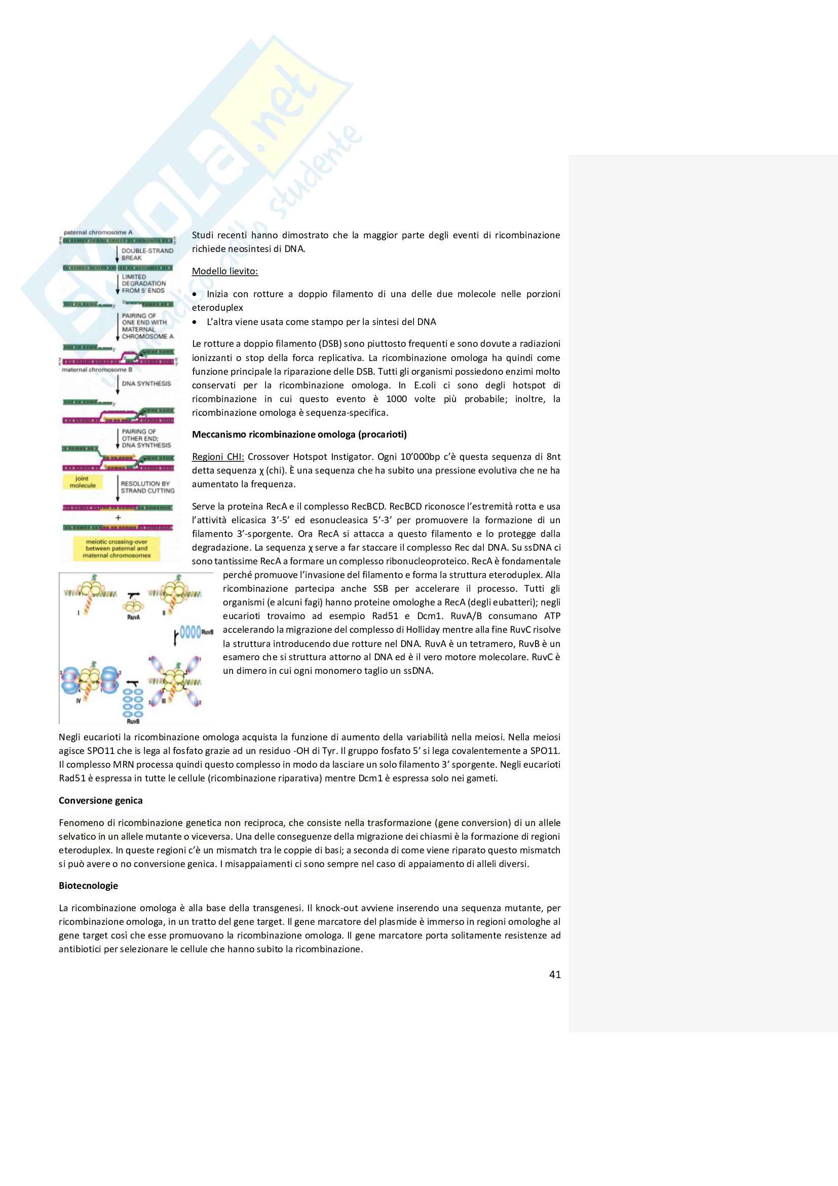 Biologia Molecolare, prof Barabino Pag. 41