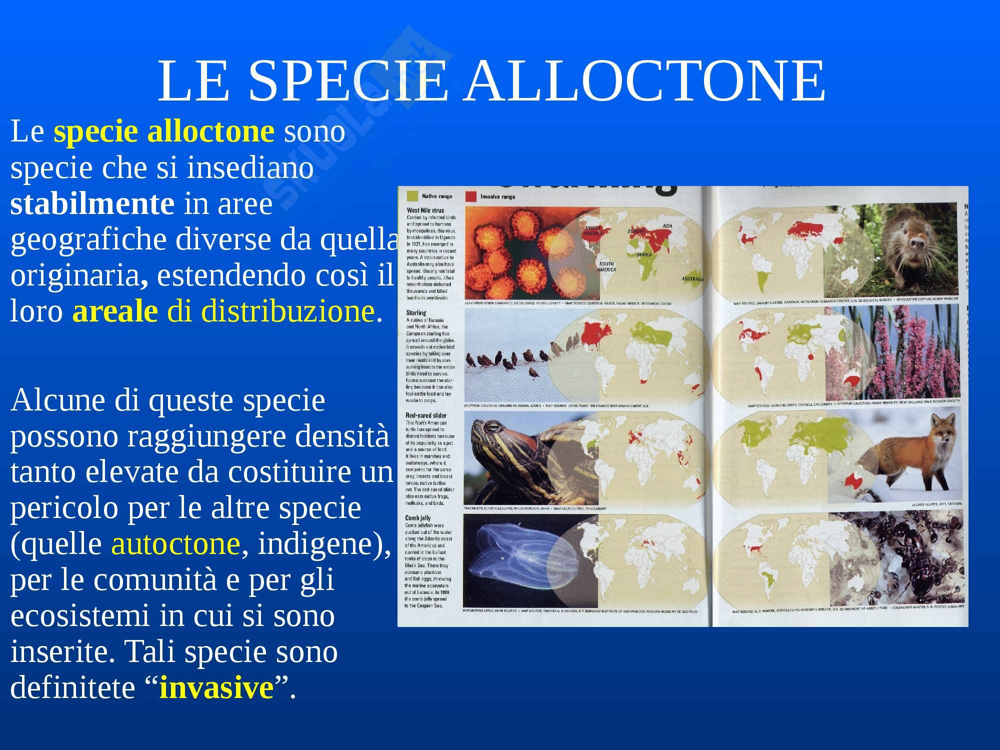 Zoologia - Le specie alloctone Pag. 1