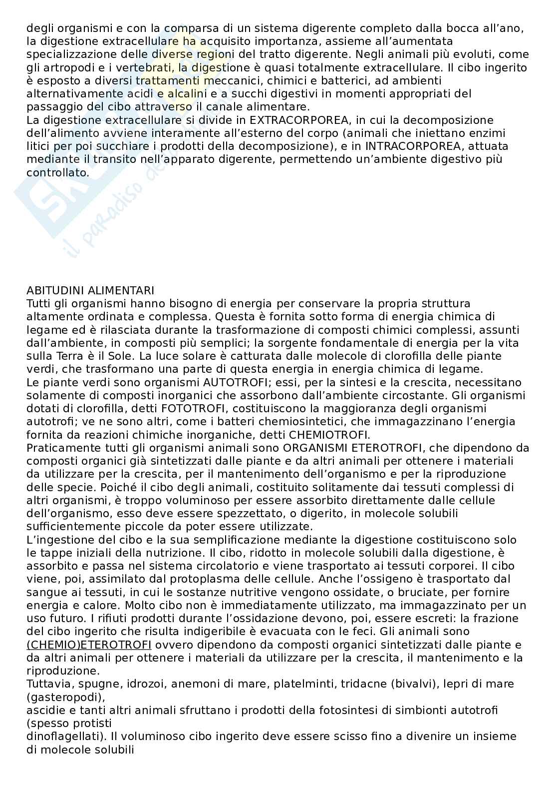 Appunti Zoologia Pag. 56