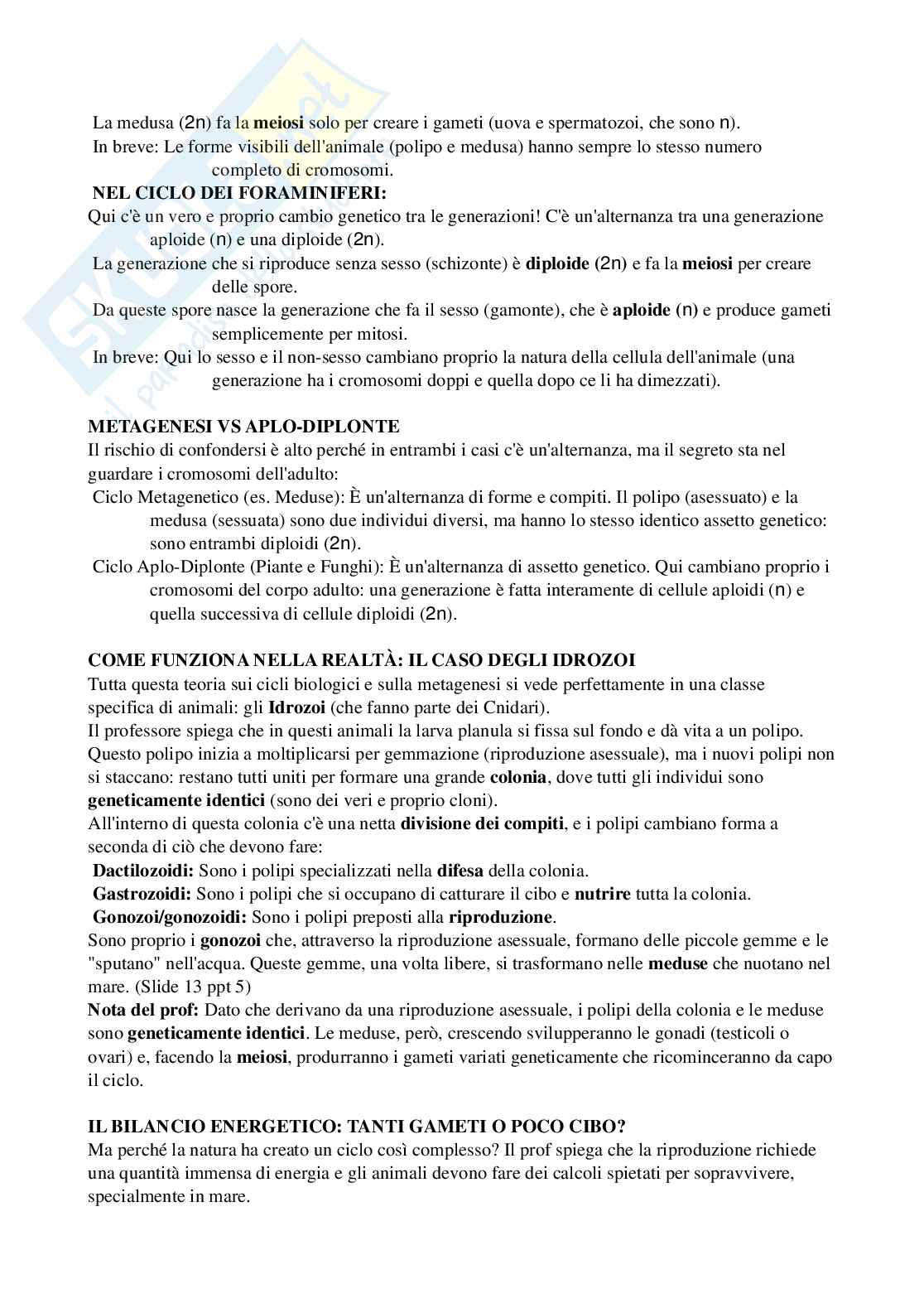 Riassunto esame Biologia, Prof. Di Cristo Carlo, libro consigliato Appunti di zoologia , D’Aniello  Pag. 21