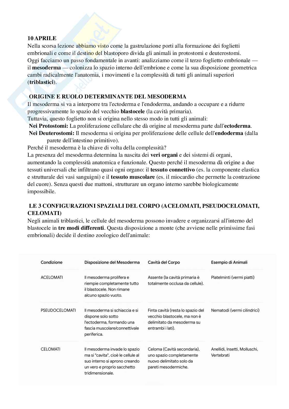Riassunto esame Biologia, Prof. Di Cristo Carlo, libro consigliato Appunti di zoologia , D’Aniello  Pag. 41