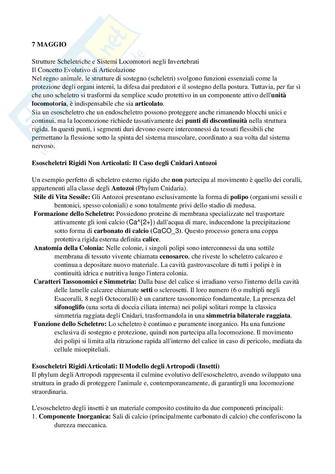 Riassunto esame Biologia, Prof. Di Cristo Carlo, libro consigliato Appunti di zoologia , D’Aniello  Pag. 56