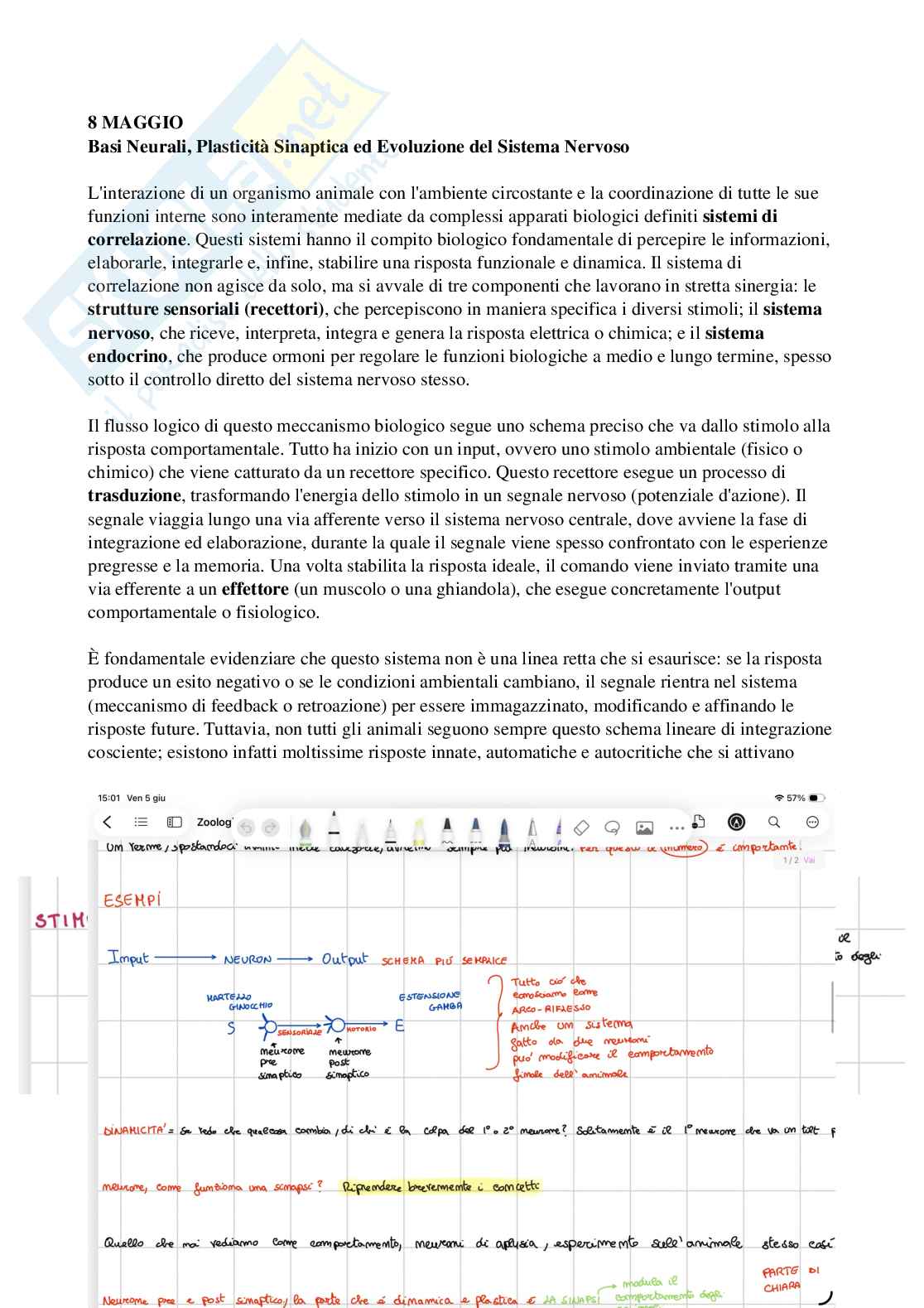 Riassunto esame Biologia, Prof. Di Cristo Carlo, libro consigliato Appunti di zoologia , D’Aniello  Pag. 61