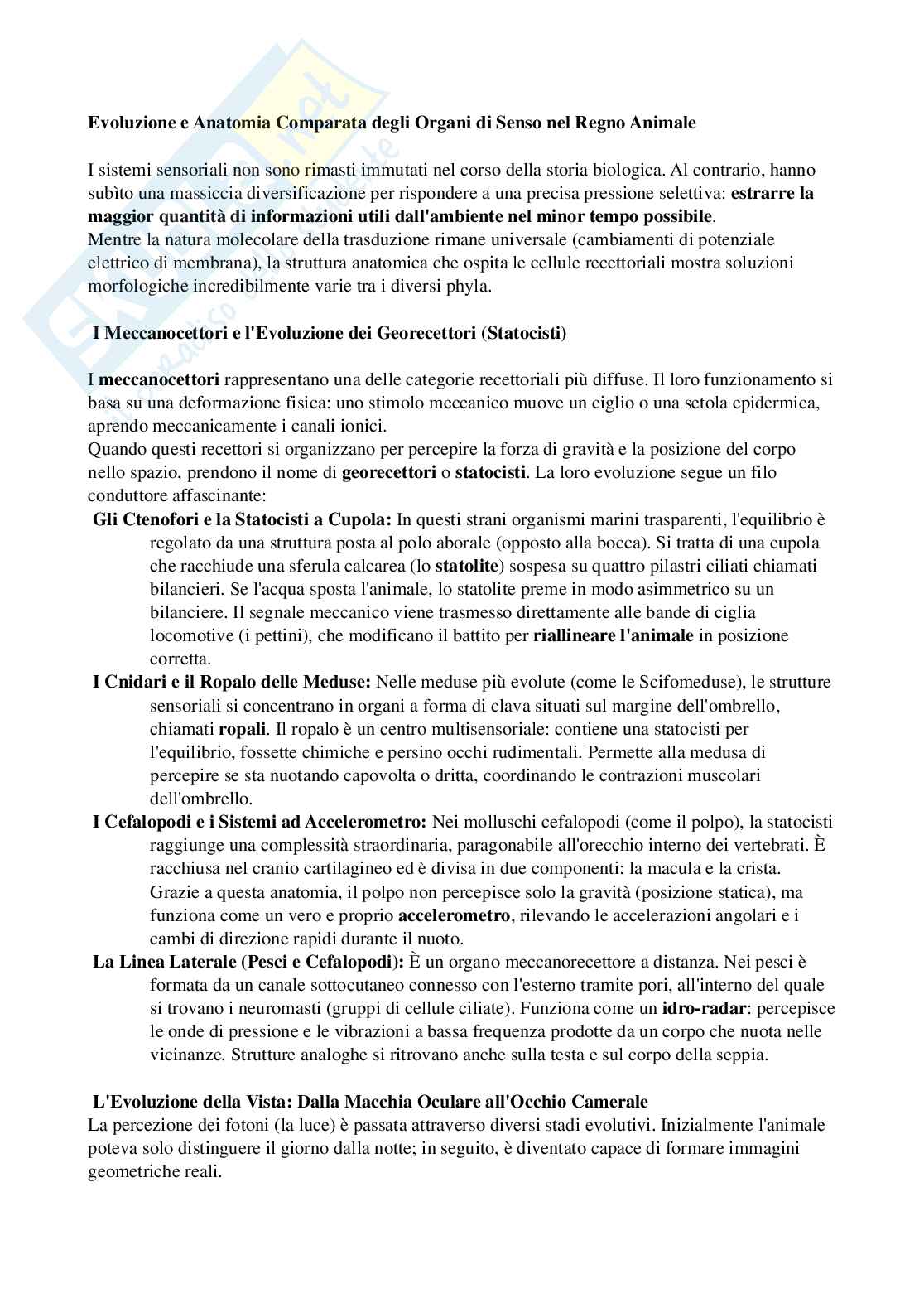 Riassunto esame Biologia, Prof. Di Cristo Carlo, libro consigliato Appunti di zoologia , D’Aniello  Pag. 76