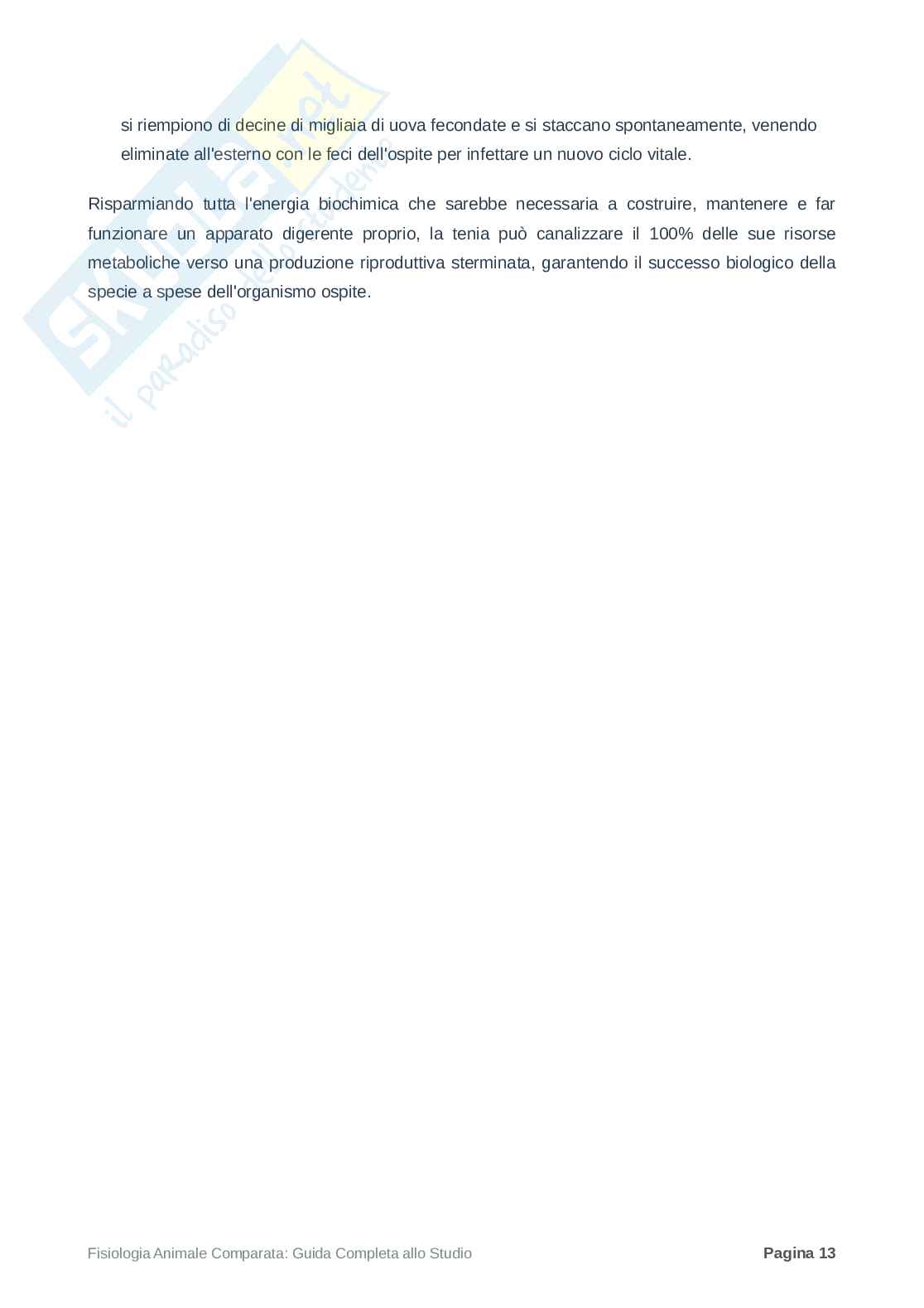 Riassunto esame Biologia, Prof. Di Cristo Carlo, libro consigliato Appunti di zoologia , D’Aniello  Pag. 91