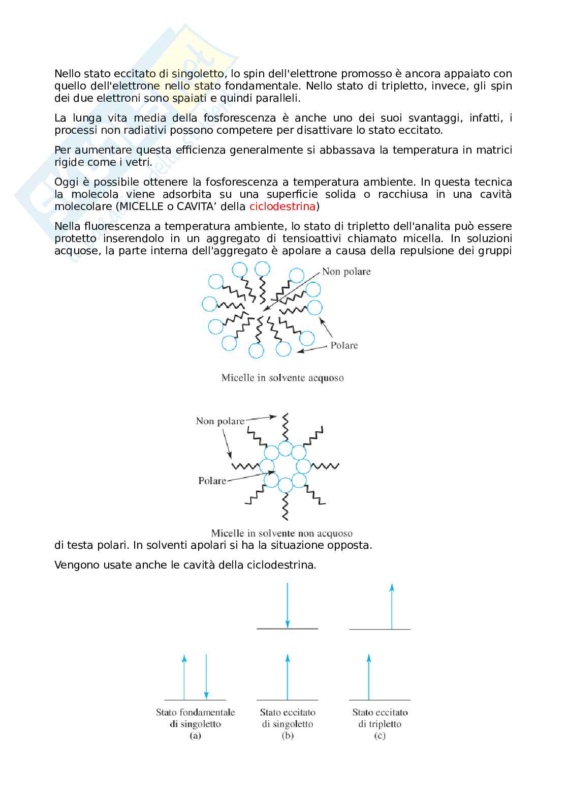 Spettroscopia di fluorescenza molecolare Pag. 11