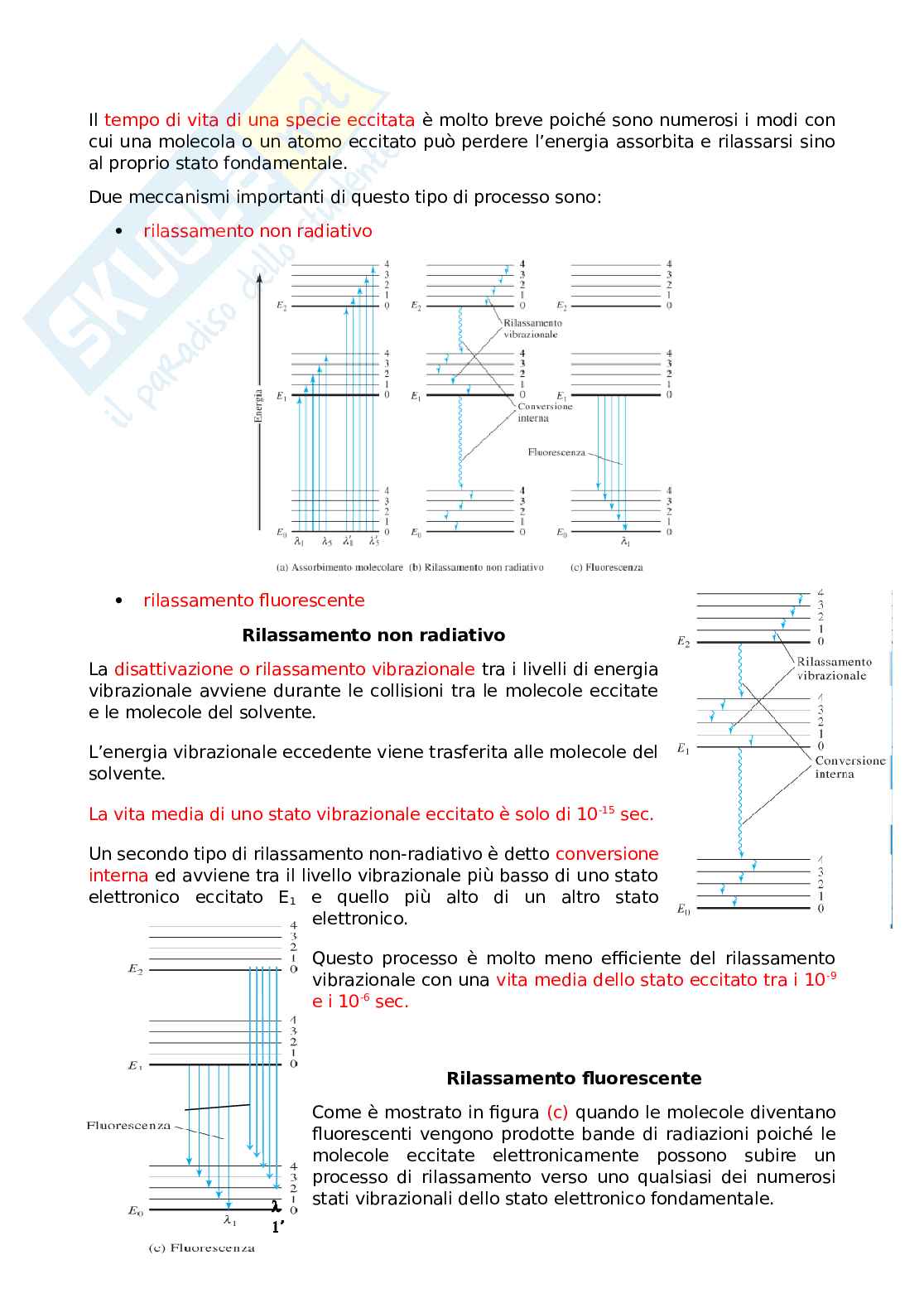 Spettroscopia di fluorescenza molecolare Pag. 2