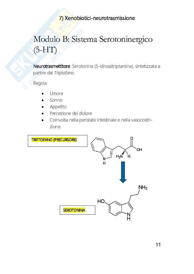 Xenobiotici e neurotrasmissione Pag. 11