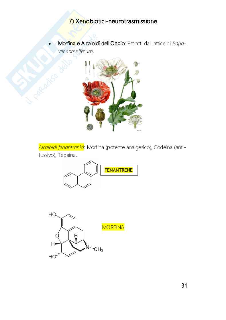 Xenobiotici e neurotrasmissione Pag. 31