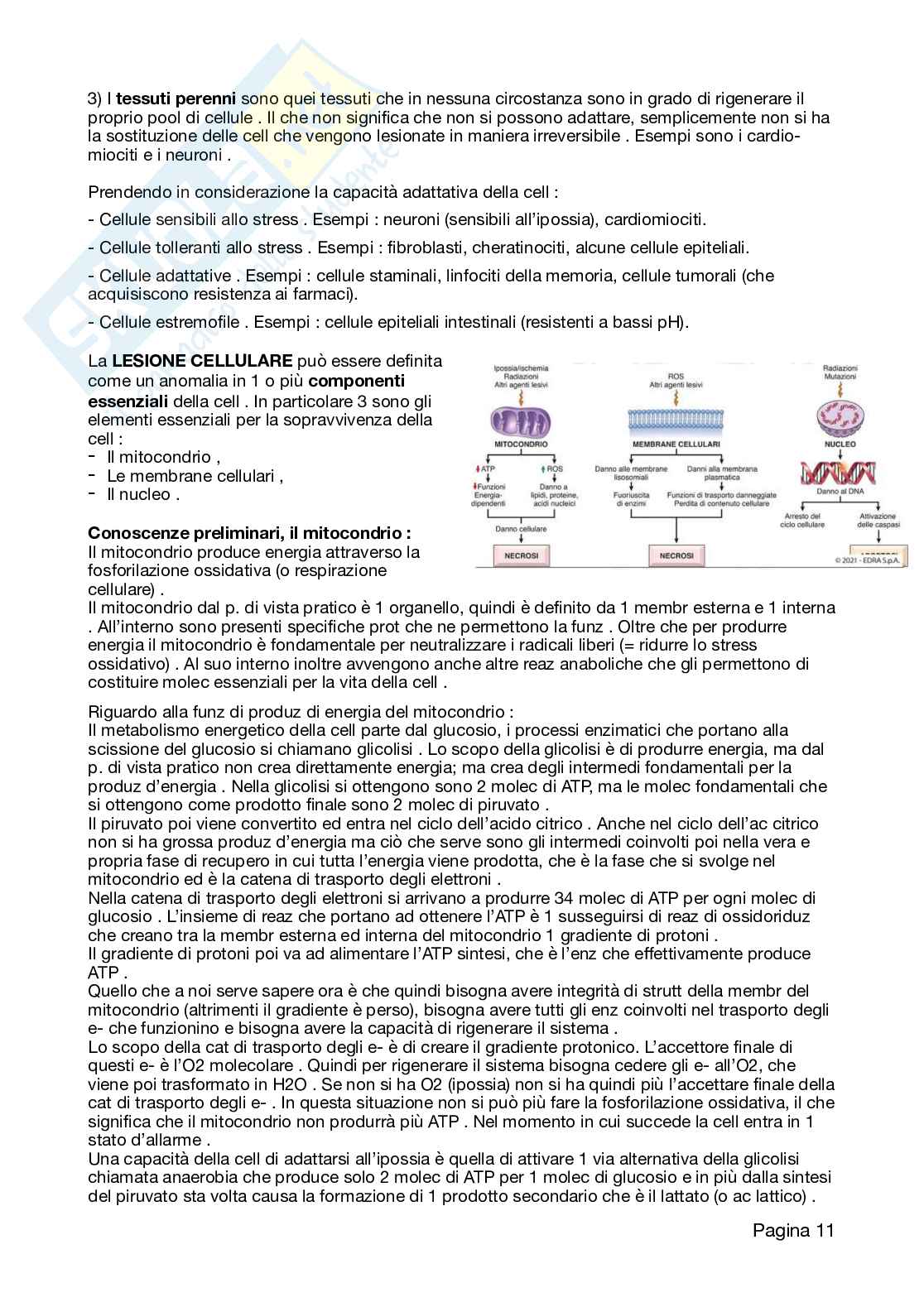 Appunti Patologia 2026 Pag. 11