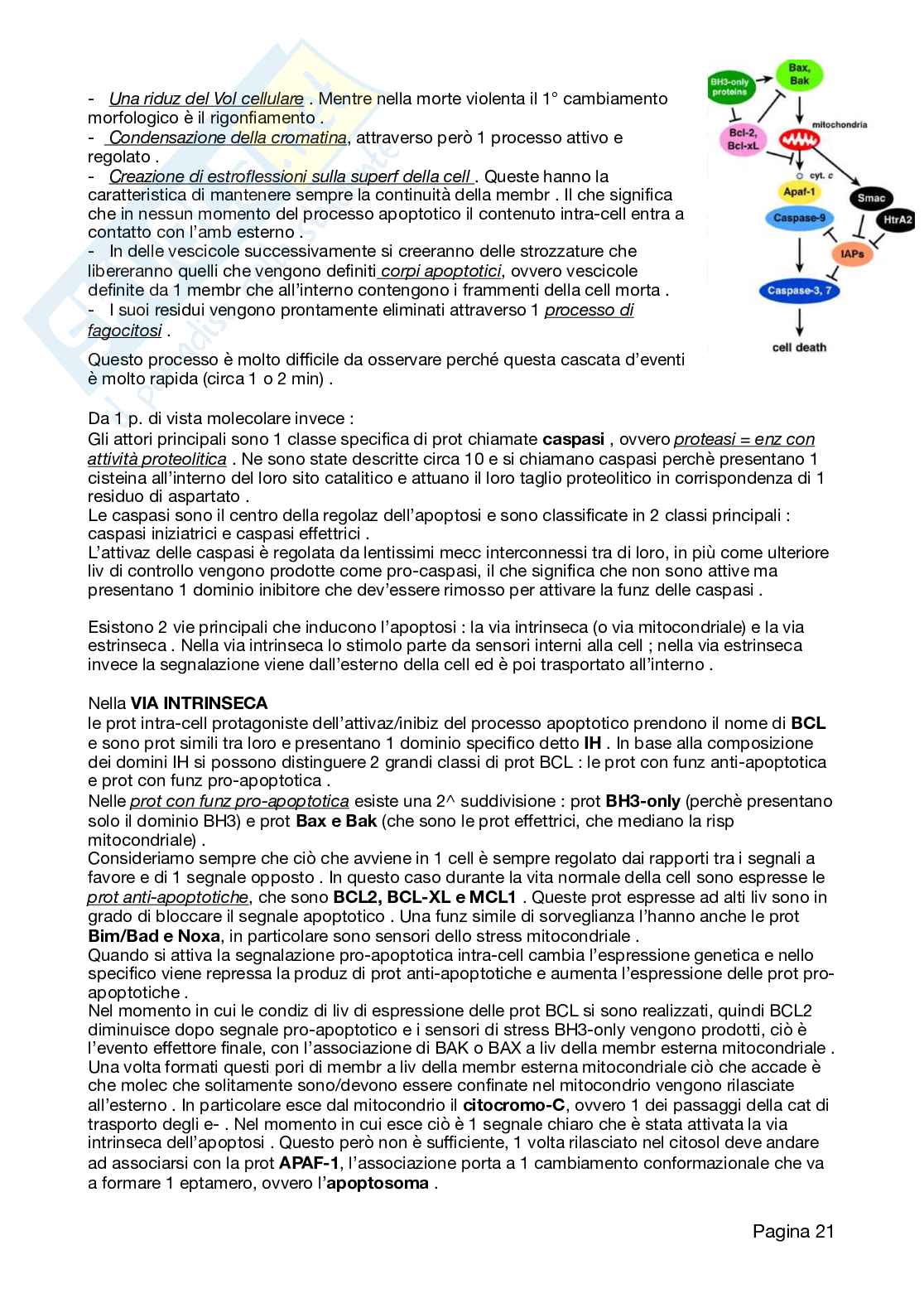 Appunti Patologia 2026 Pag. 21