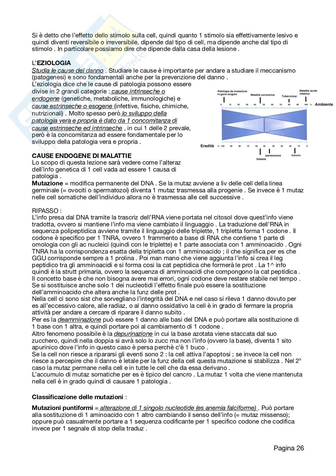 Appunti Patologia 2026 Pag. 26