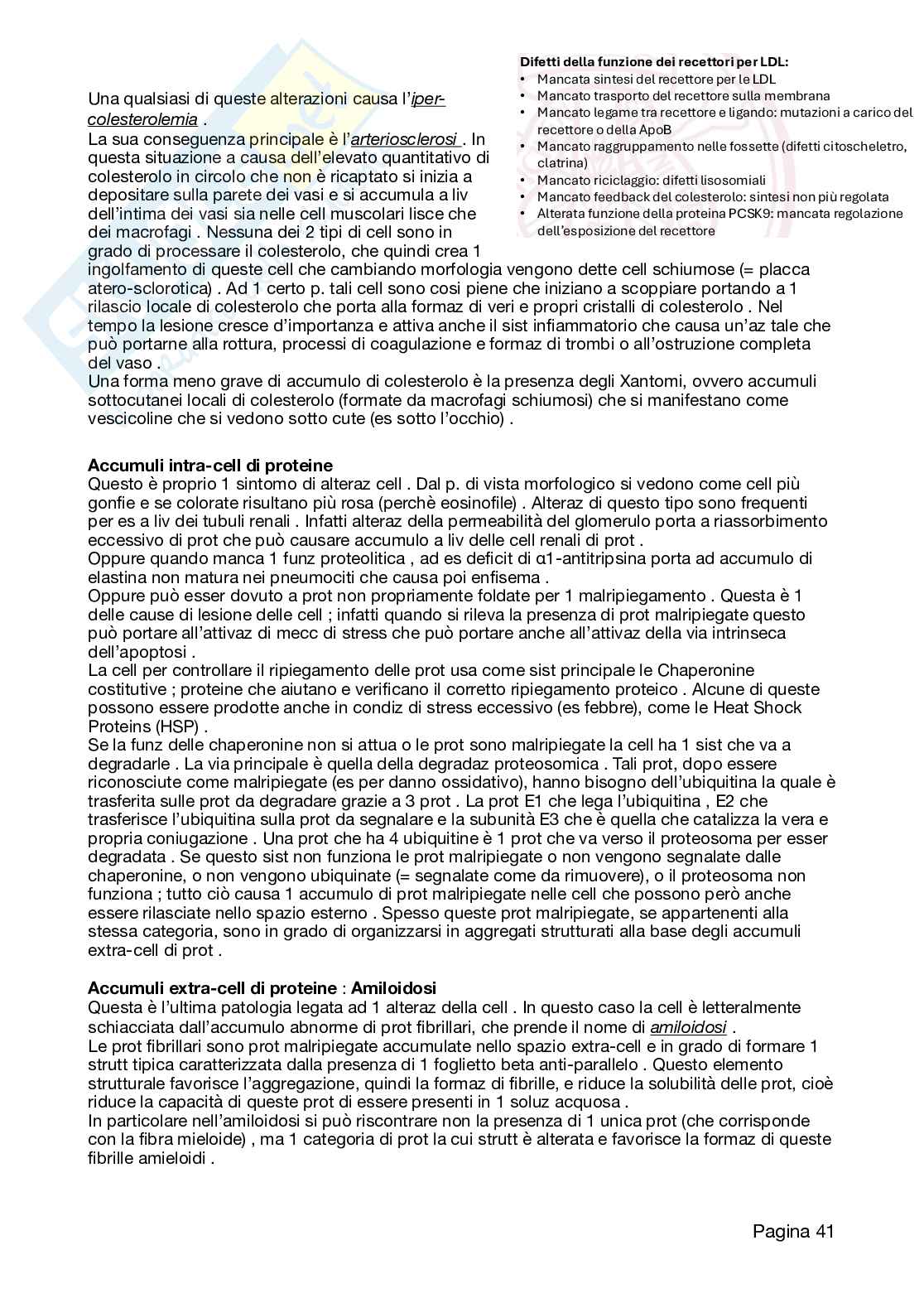 Appunti Patologia 2026 Pag. 41