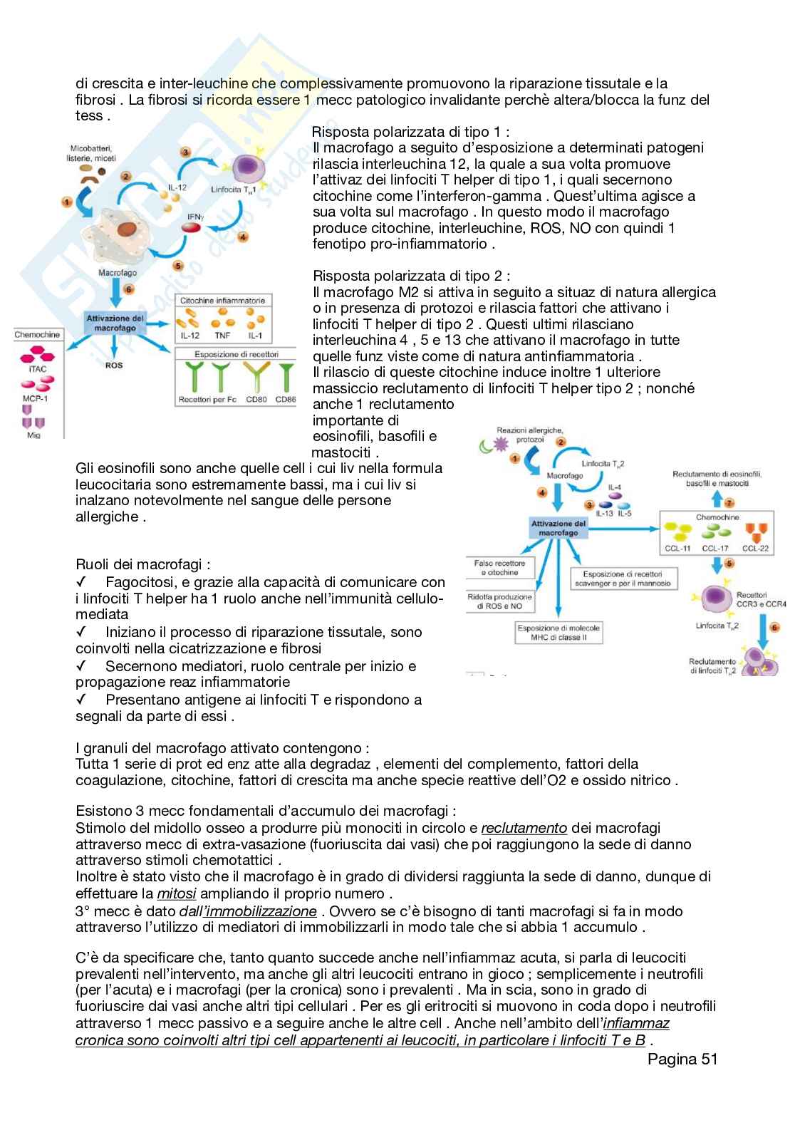Appunti Patologia 2026 Pag. 51