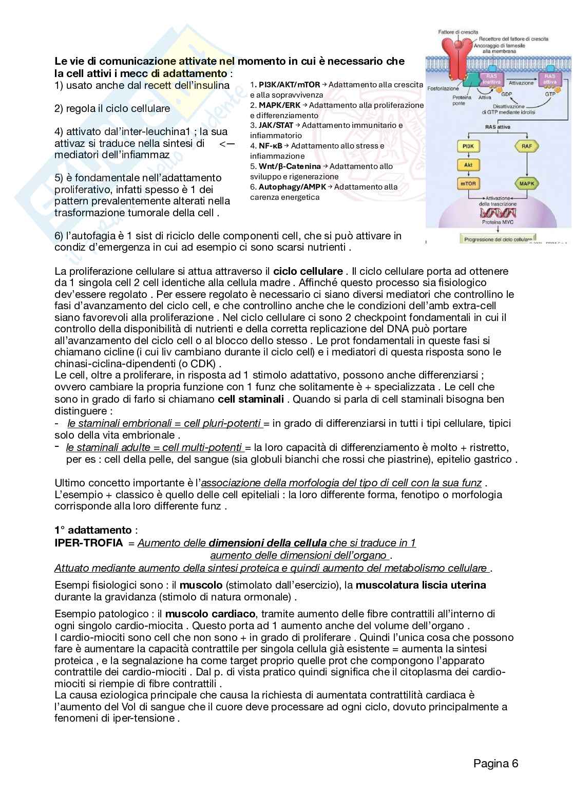 Appunti Patologia 2026 Pag. 6