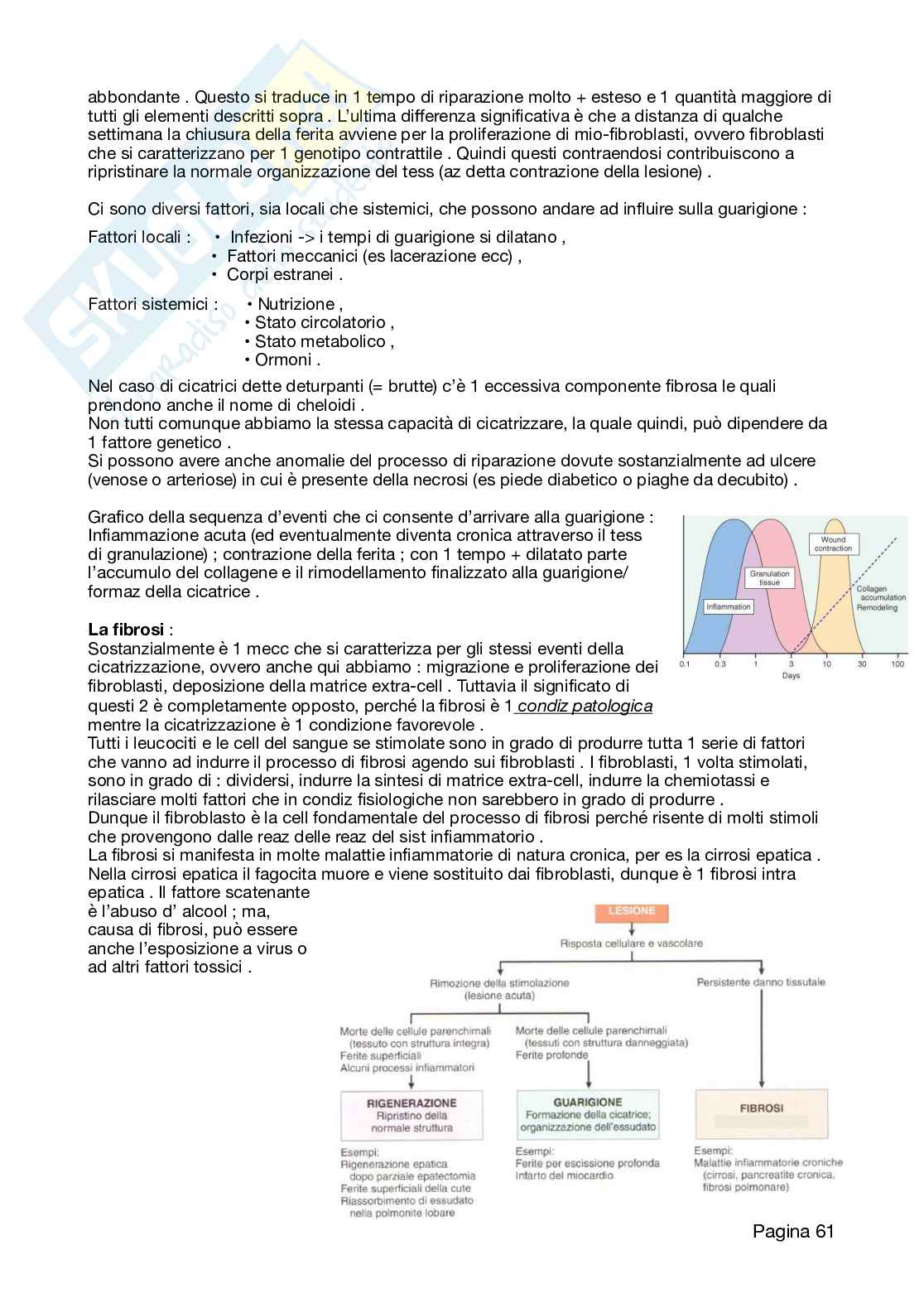 Appunti Patologia 2026 Pag. 61