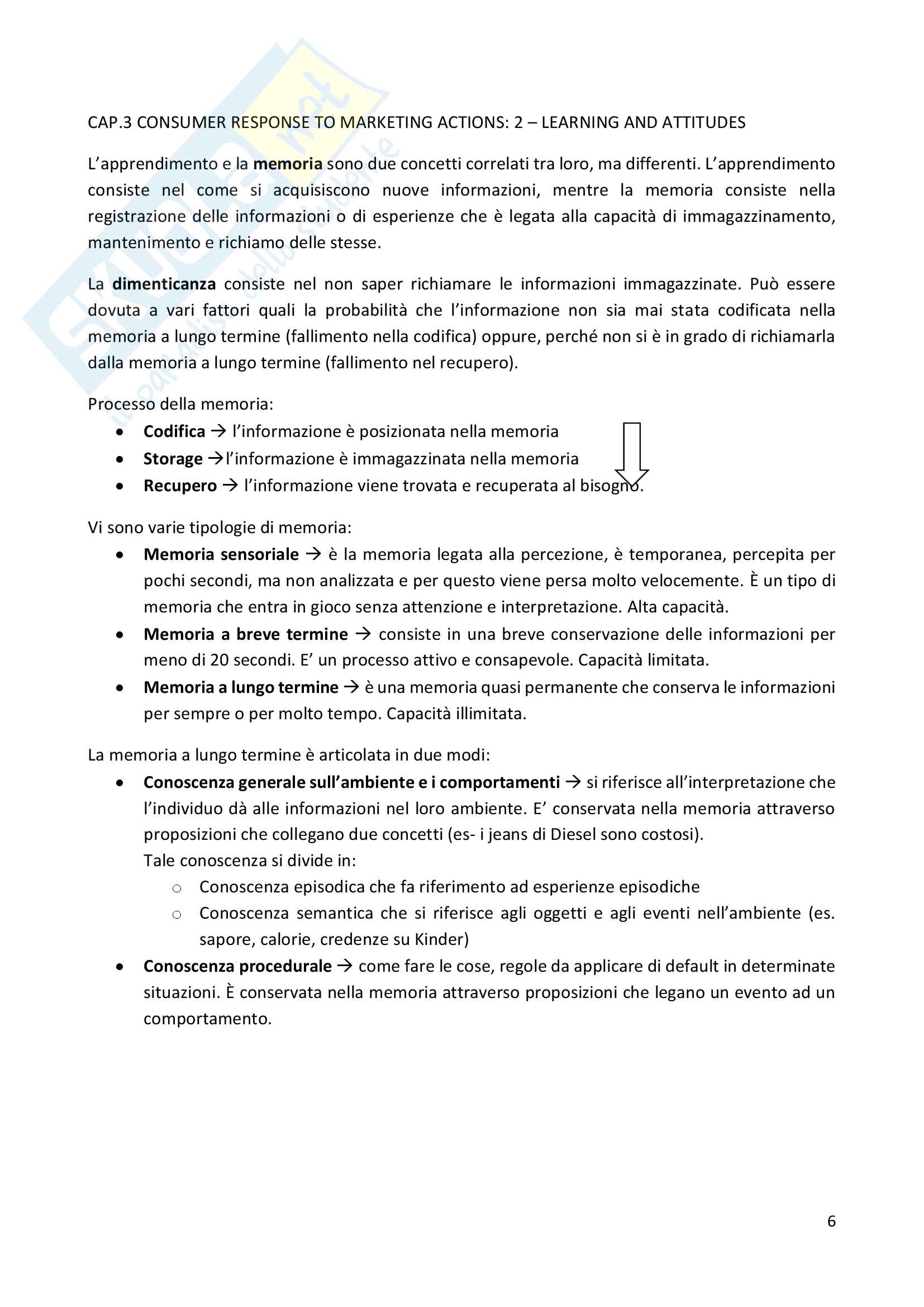 Appunti e riassunti lezioni di Consumer Behaviour, prof. Romani Pag. 6