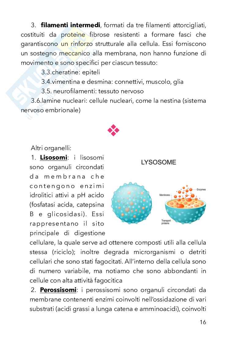 Biologia Pag. 16
