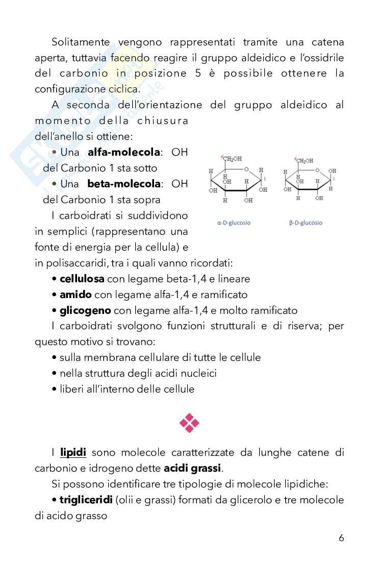 Biologia Pag. 6