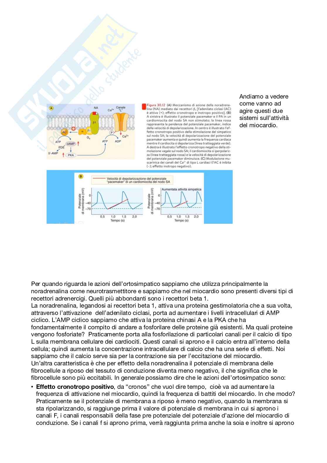 Fisiologia generale - Parte 7 Pag. 16