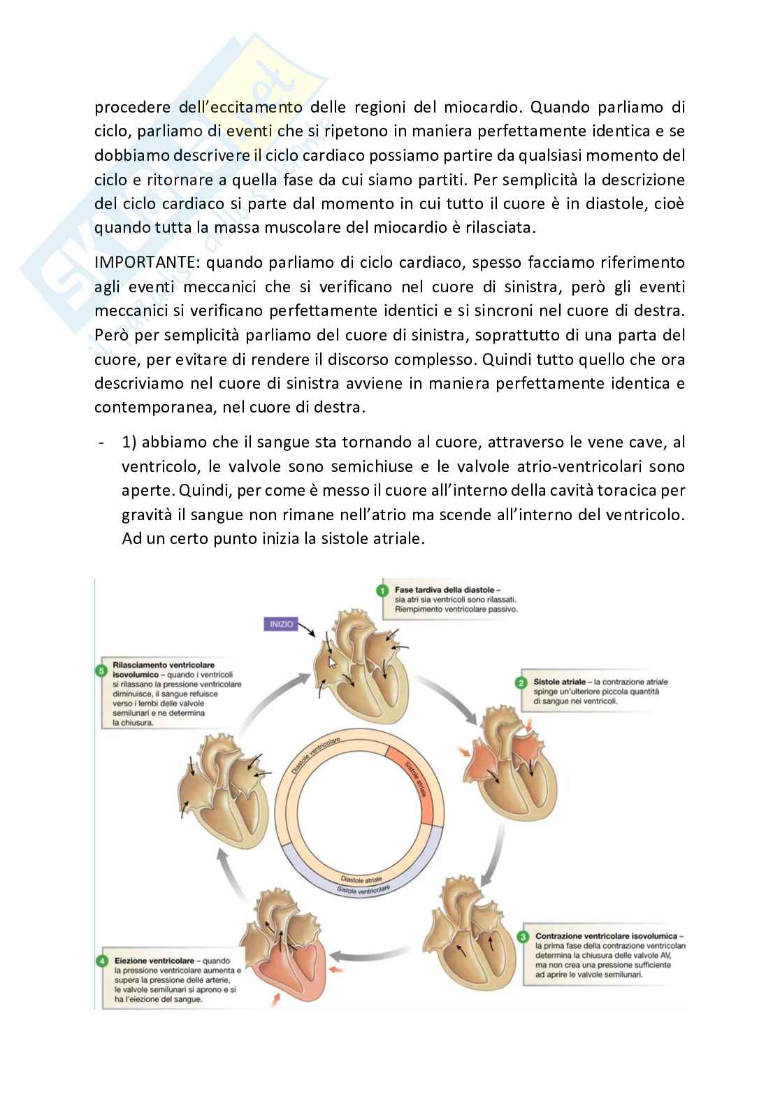 Fisiologia generale - Parte 7 Pag. 2