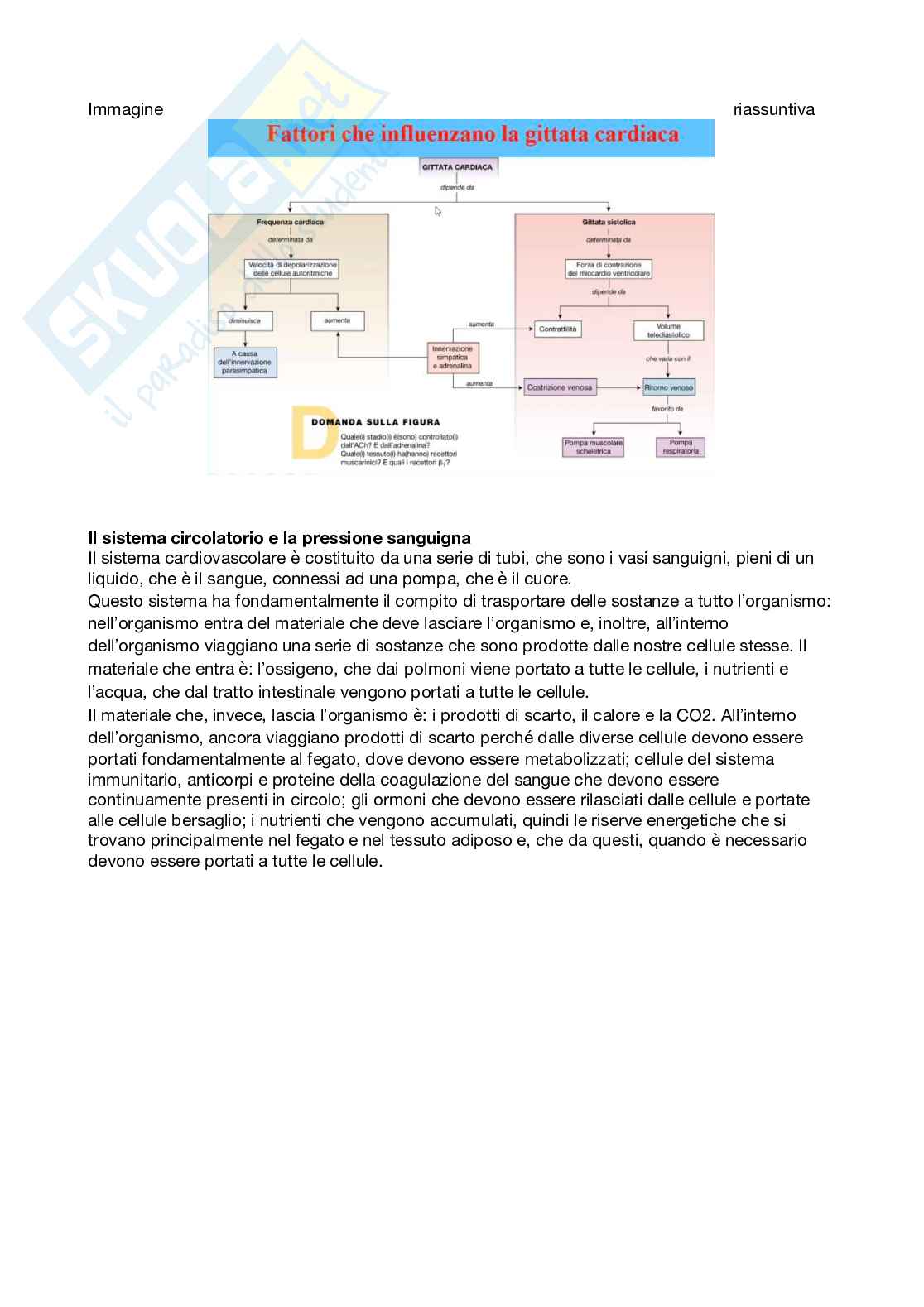 Fisiologia generale - Parte 7 Pag. 21