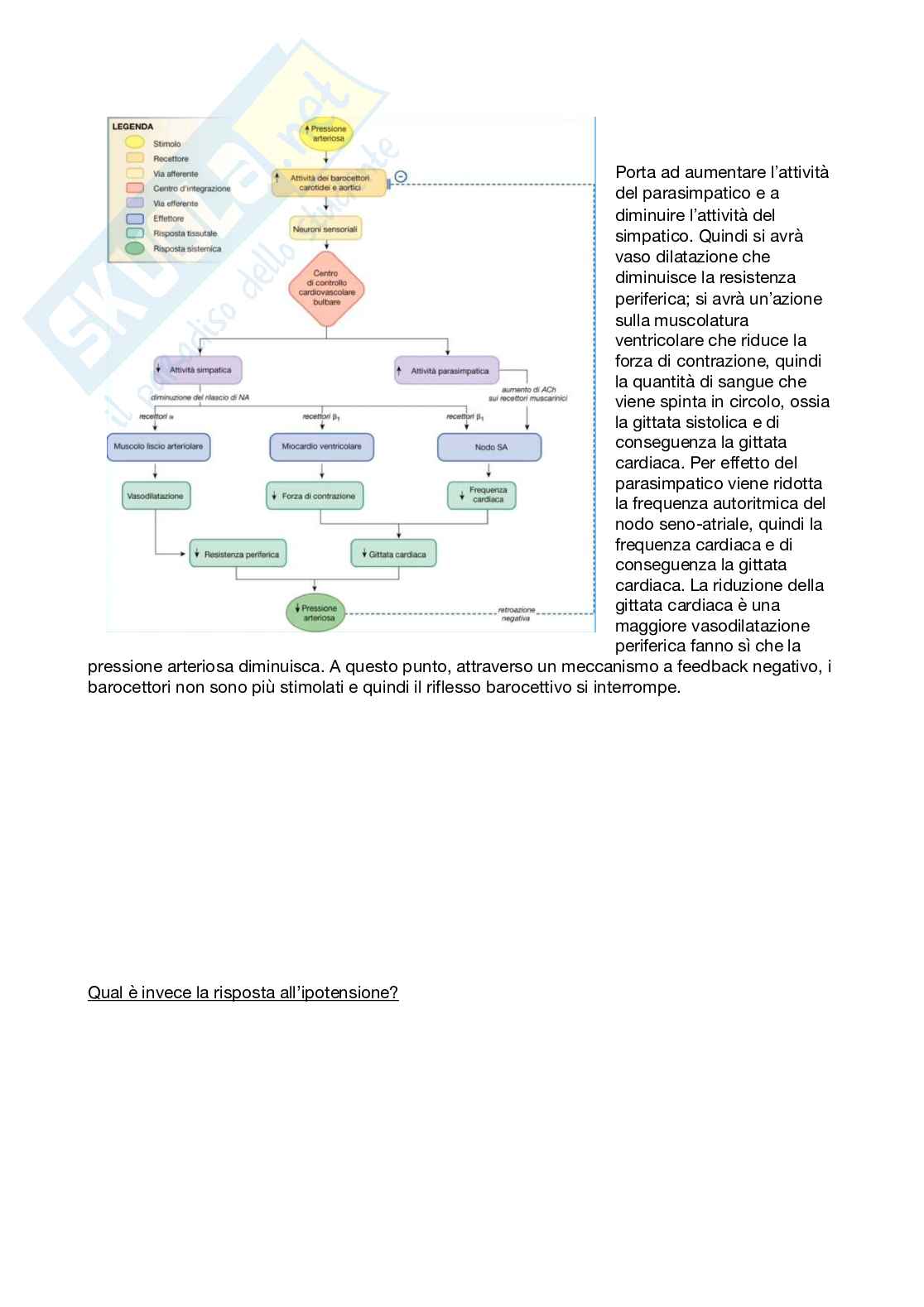Fisiologia generale - Parte 7 Pag. 36