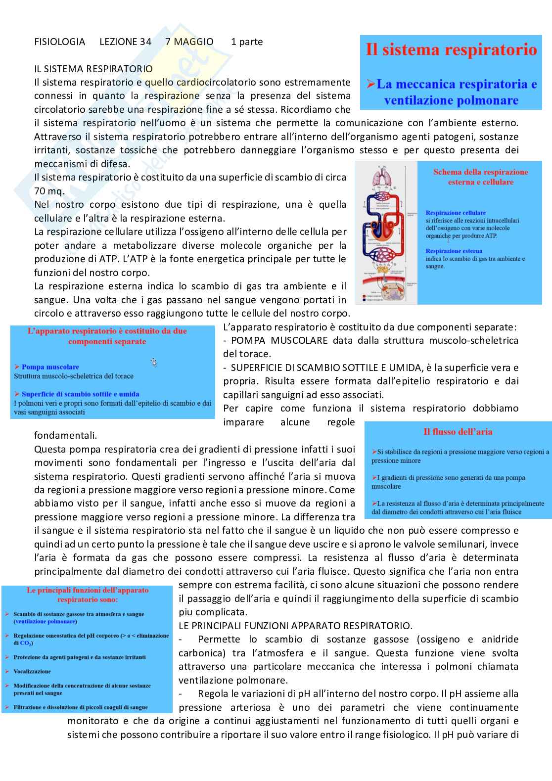Fisiologia generale - Parte 7 Pag. 41