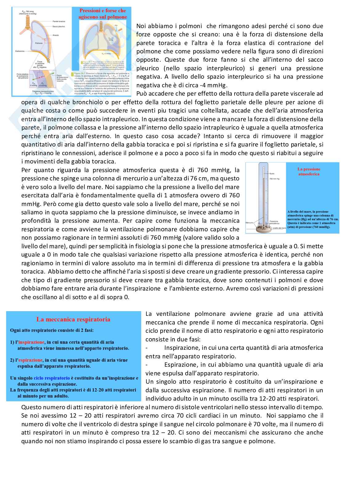 Fisiologia generale - Parte 7 Pag. 46