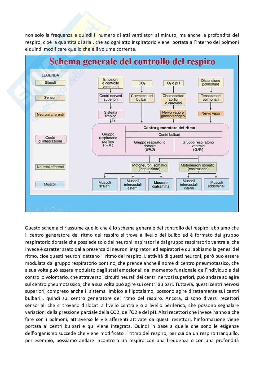 Fisiologia generale - Parte 7 Pag. 56