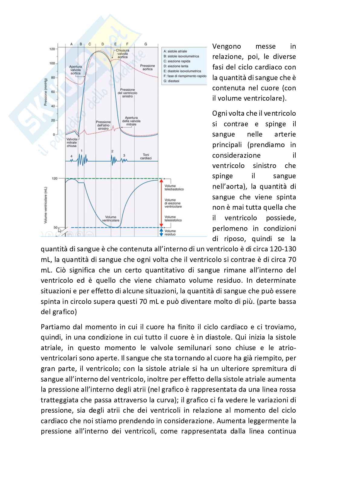 Fisiologia generale - Parte 7 Pag. 6