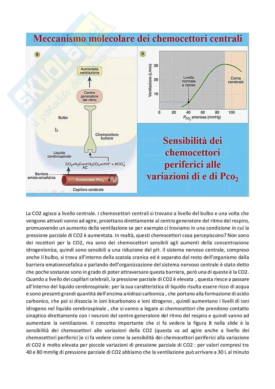 Fisiologia generale - Parte 7 Pag. 61