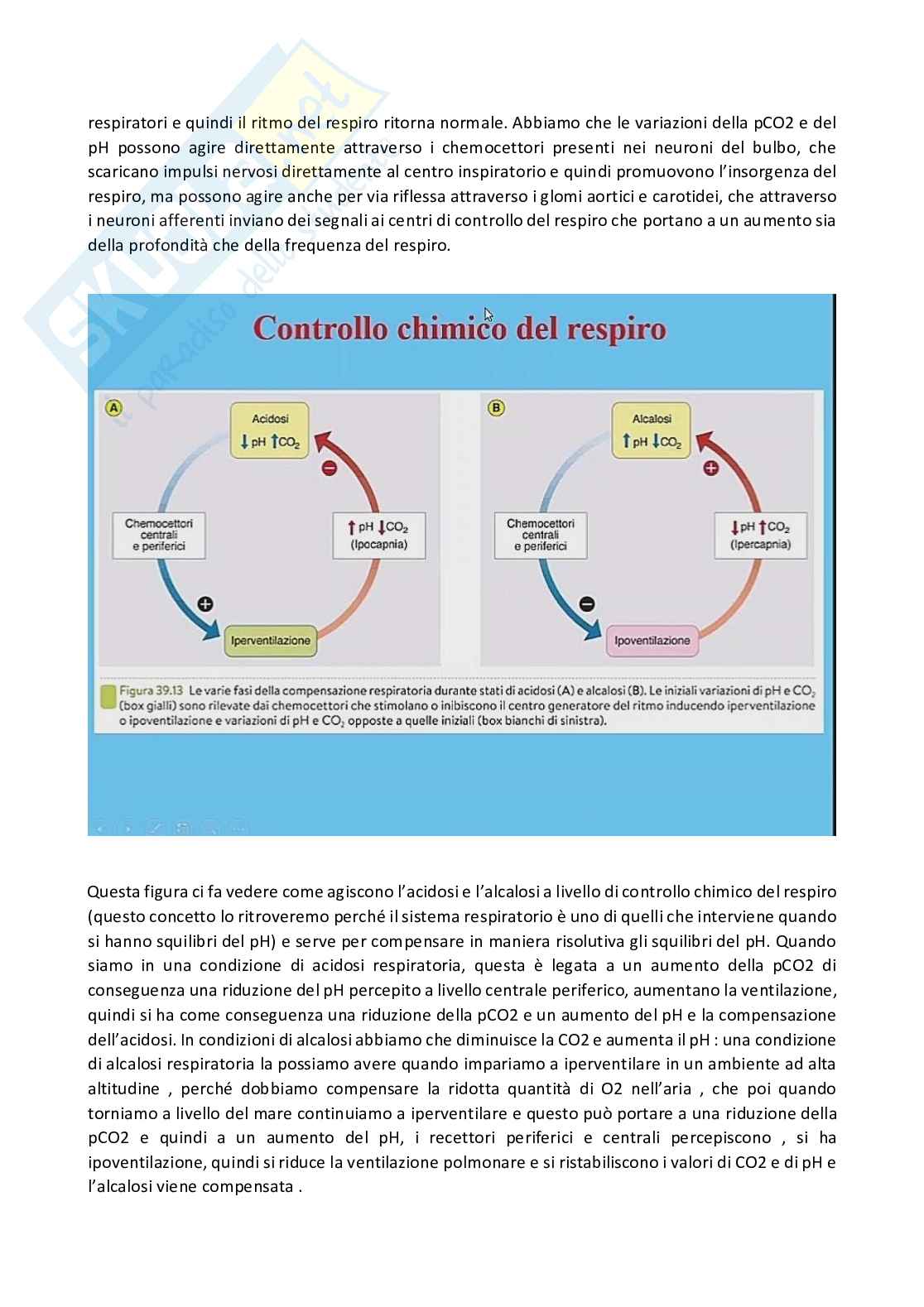 Fisiologia generale - Parte 7 Pag. 66
