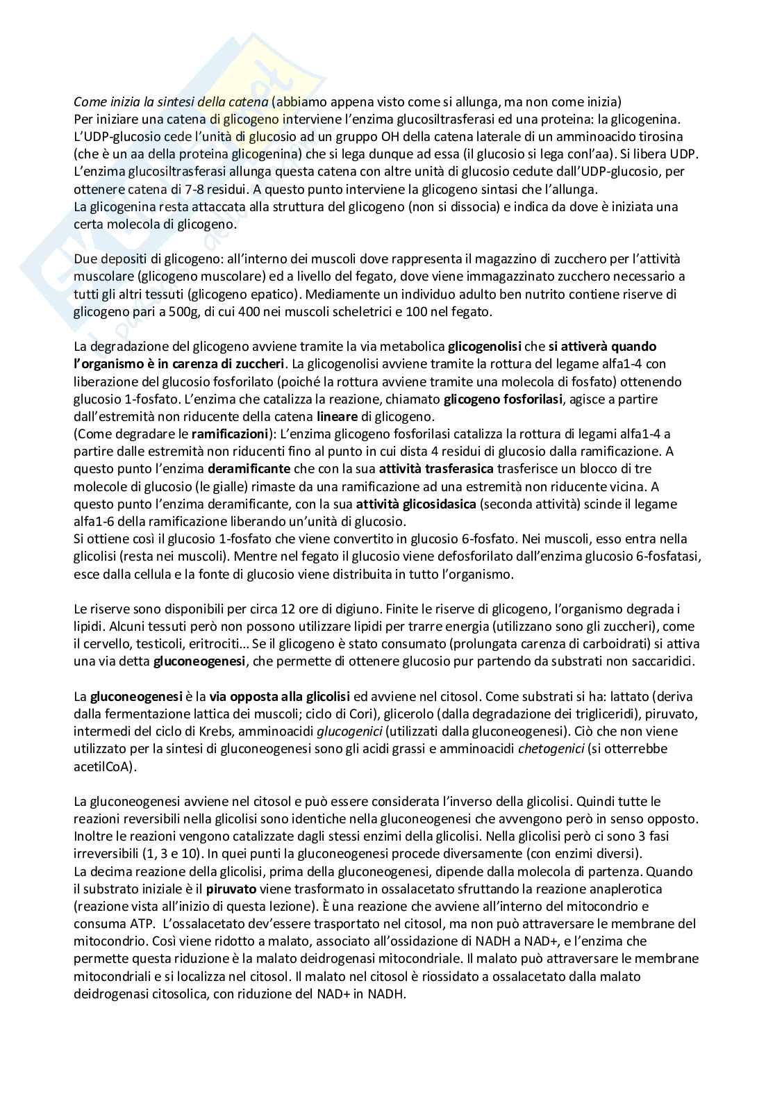Biochimica - Appunti Pag. 51