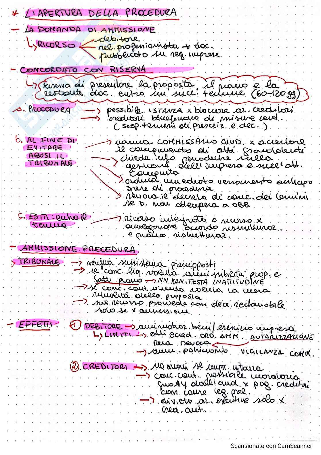 Diritto commerciale - Schemi Pag. 16