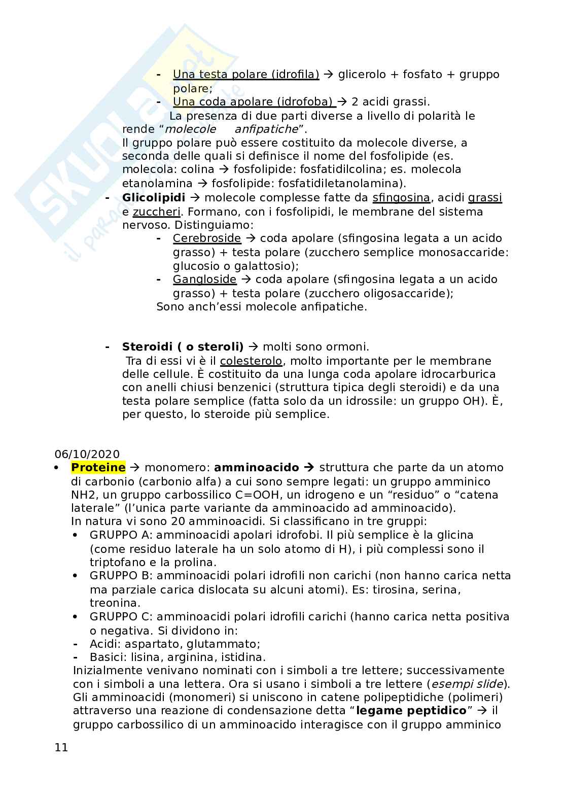 Appunti di biologia - Bicocca, STP 1 Anno, prof Combi Pag. 11