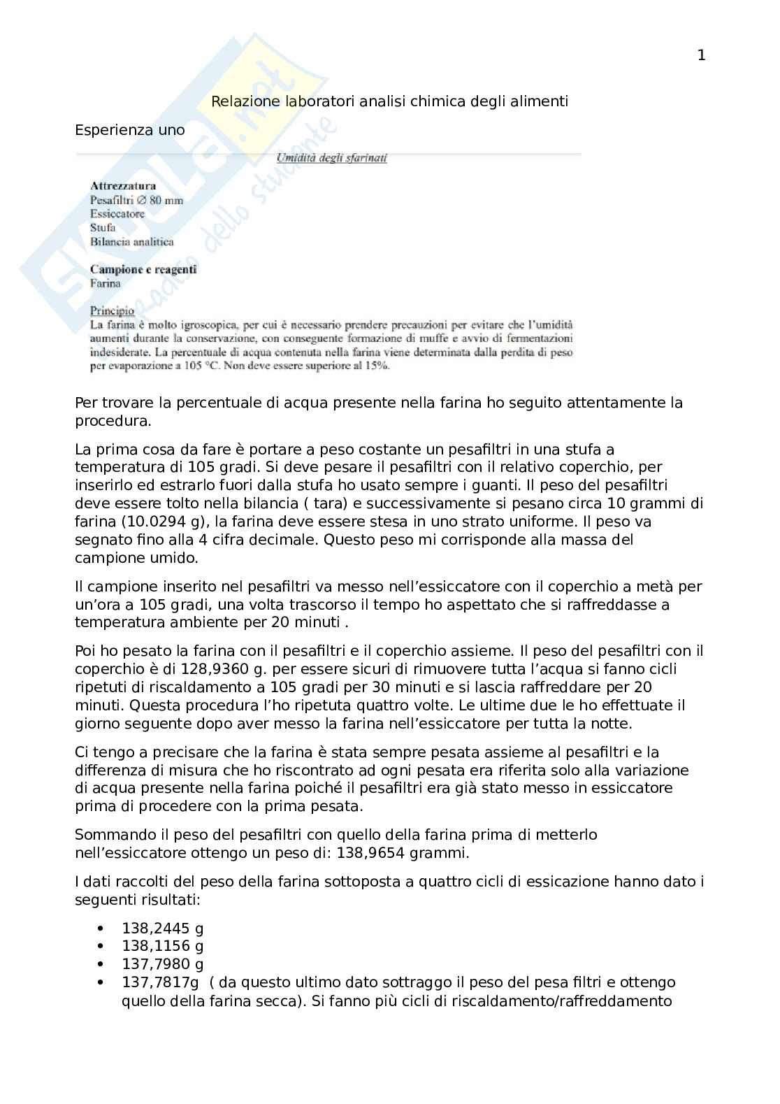 Relazione finale laboratori Pag. 1