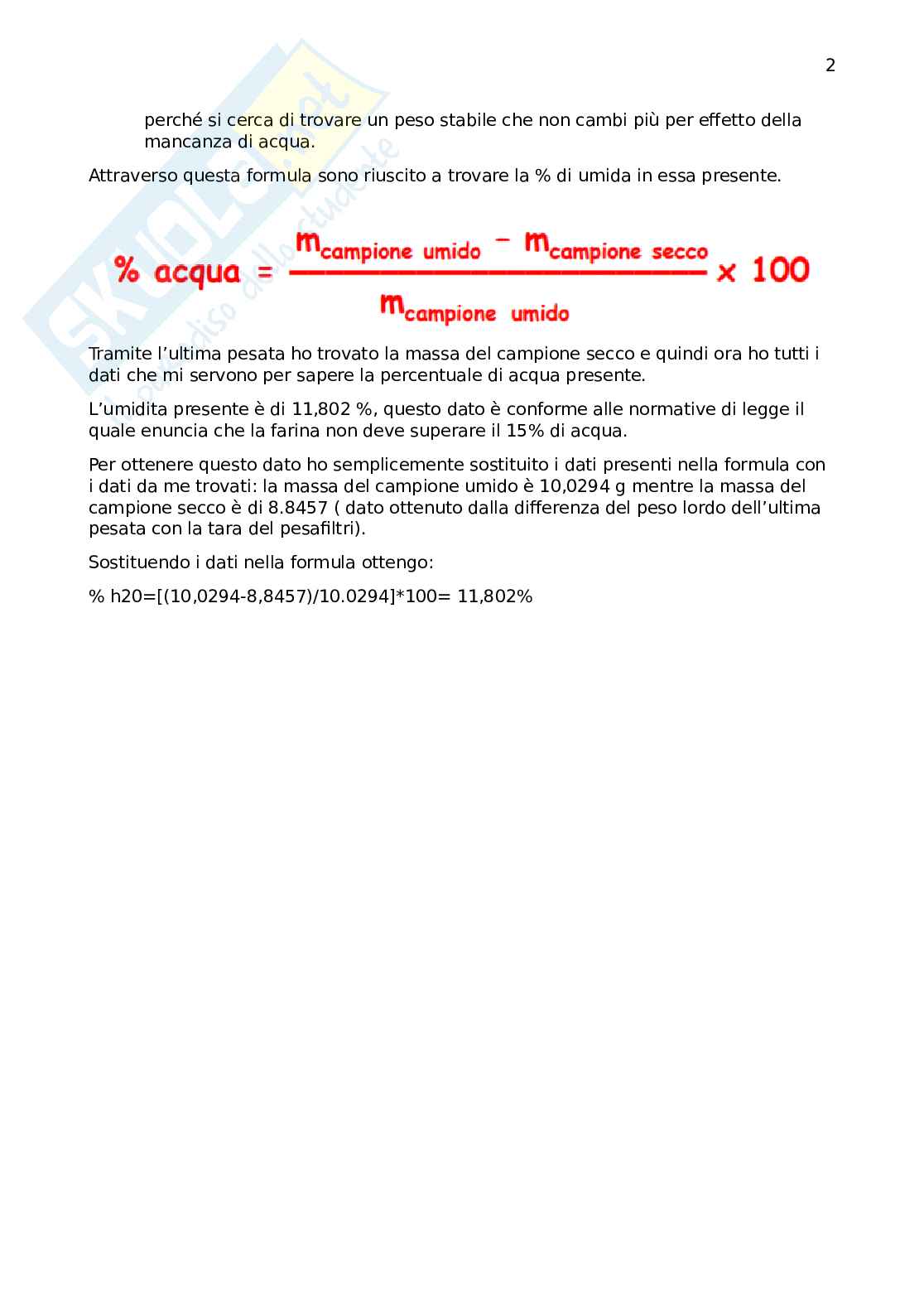 Relazione finale laboratori Pag. 2