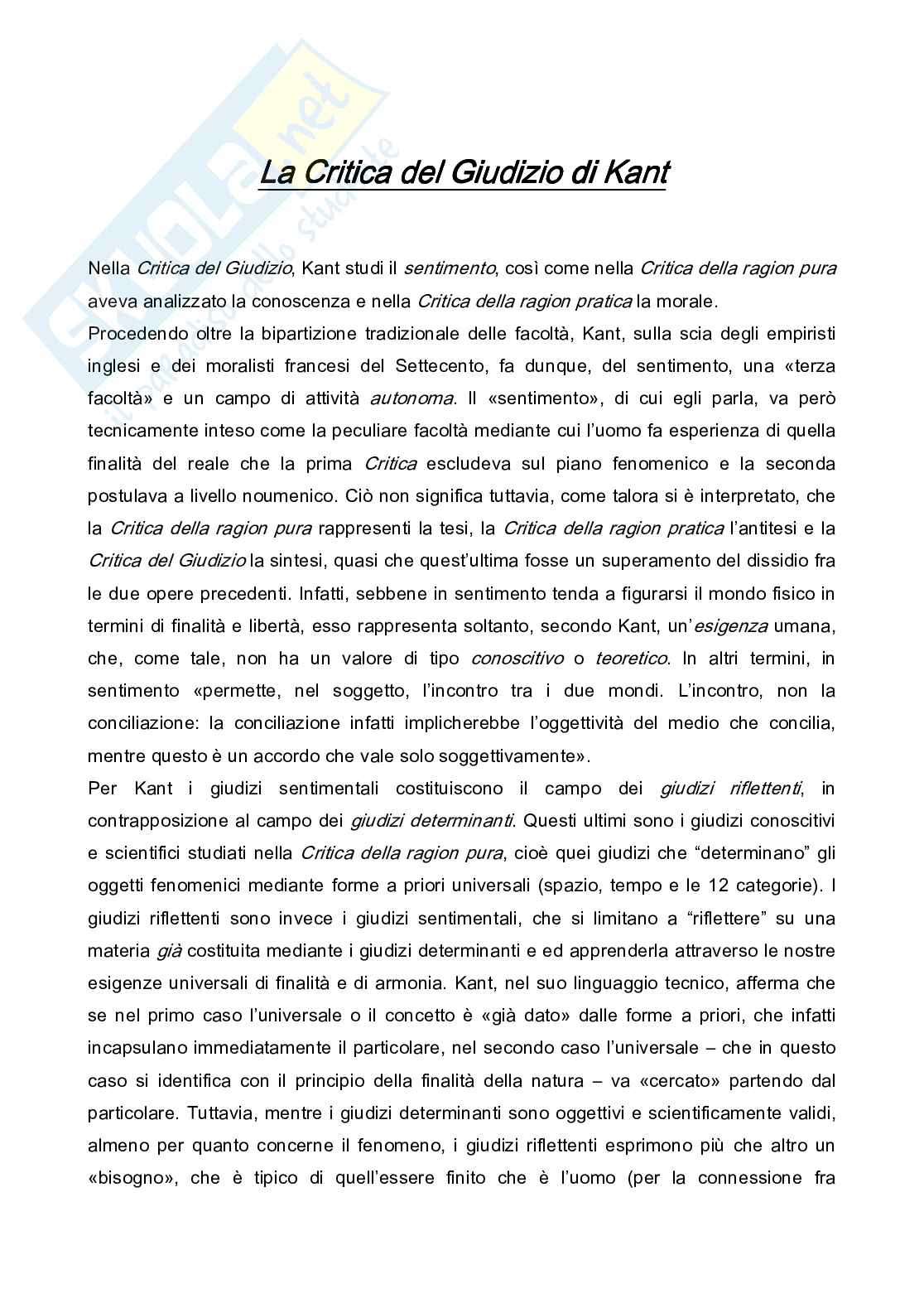 Riflessione filosofica sull'esperienza estetica Pag. 11