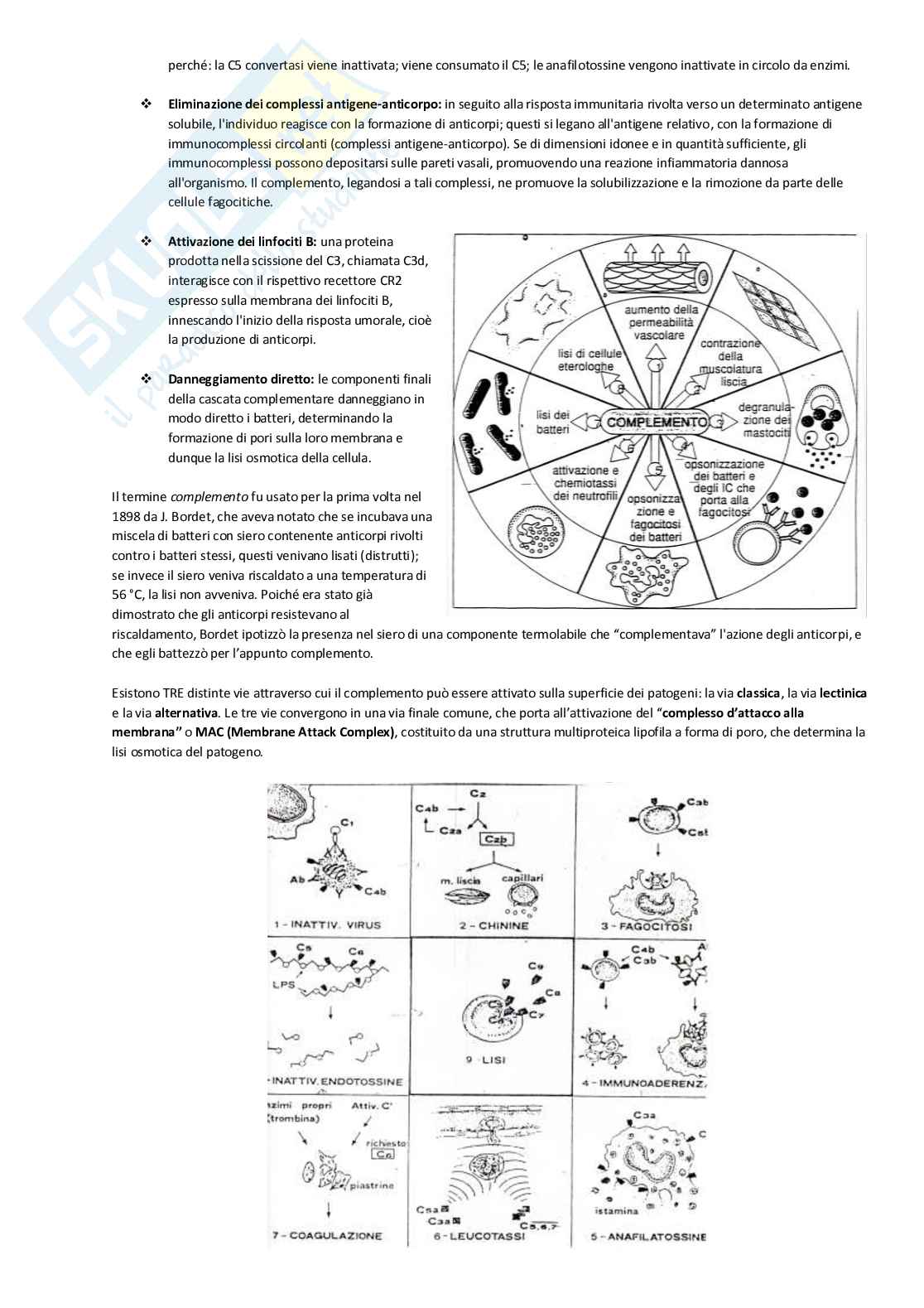 Patologia generale Pag. 51