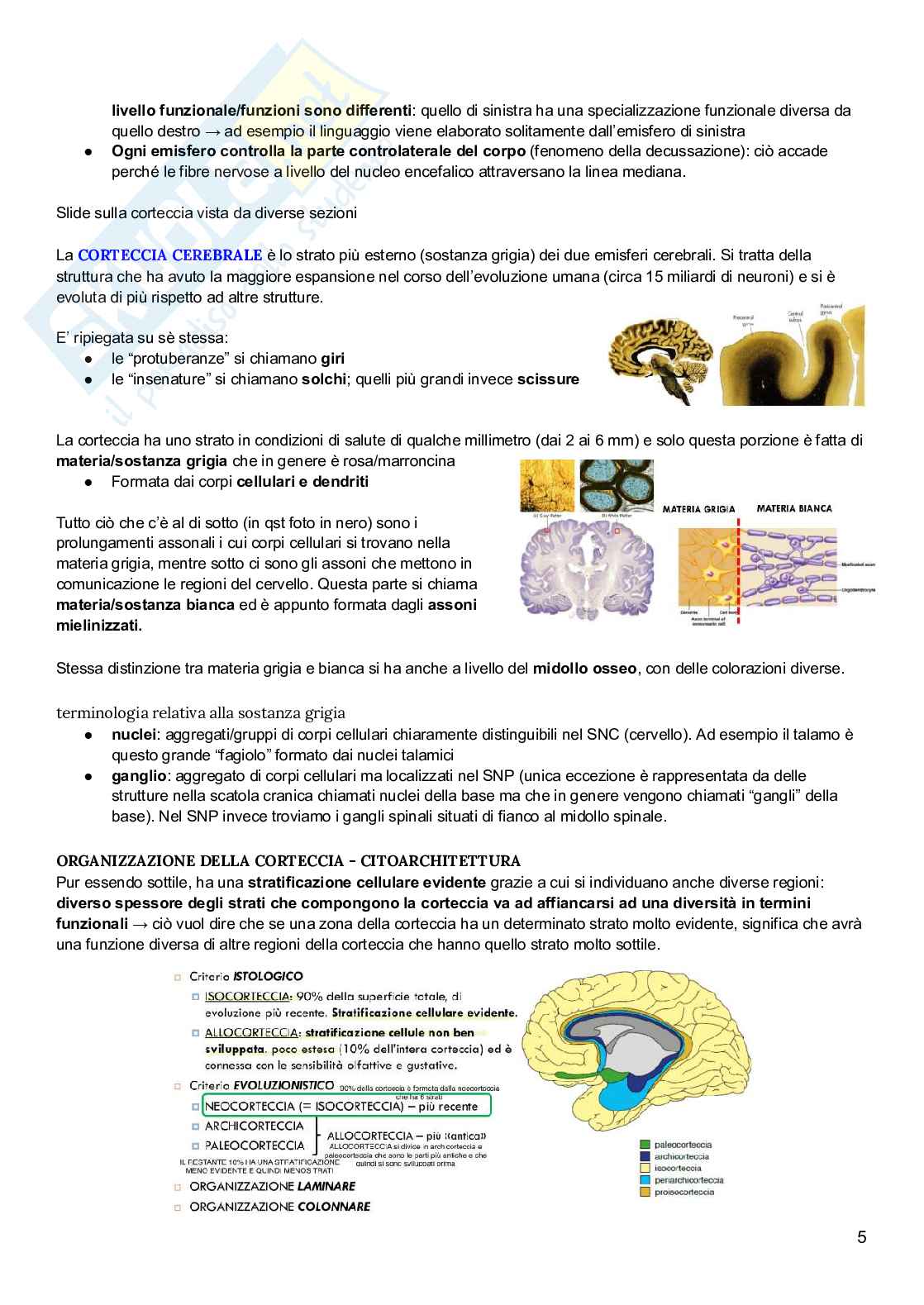 Psicobiologia  Pag. 21